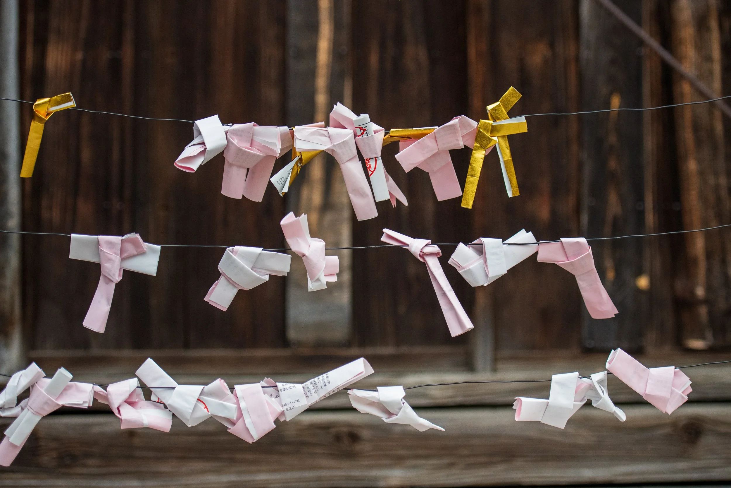 Left Behind. Omikuji, Aizuwakamatsu