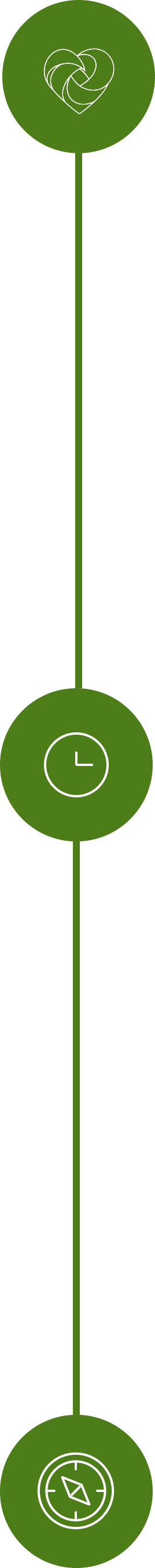 A vertical green timeline with icons including a heart with a knot, a clock, and a compass.