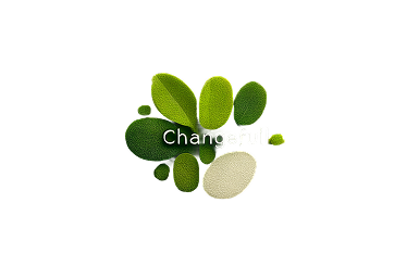 ChangeFull