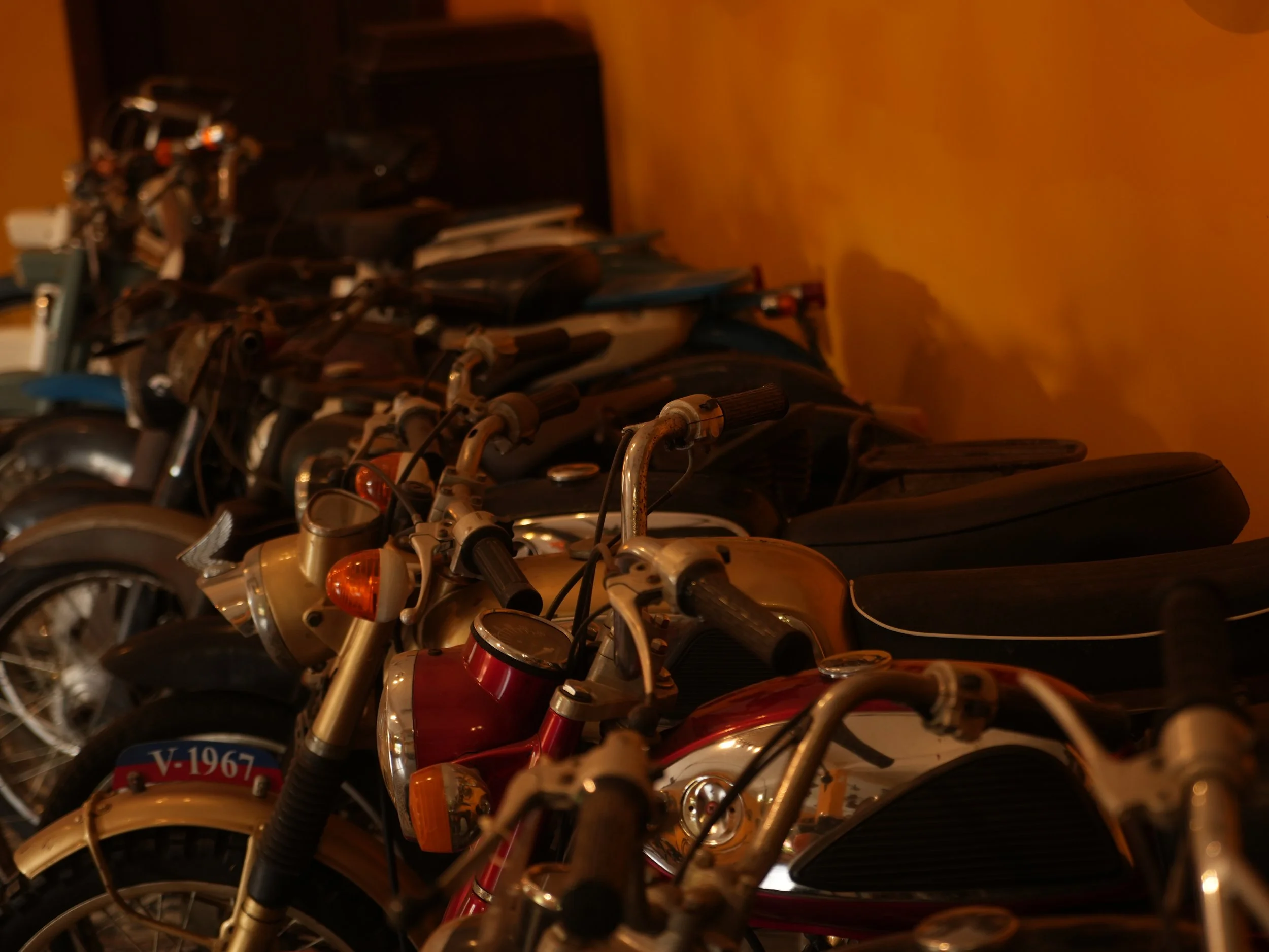 DSC08740.JPG