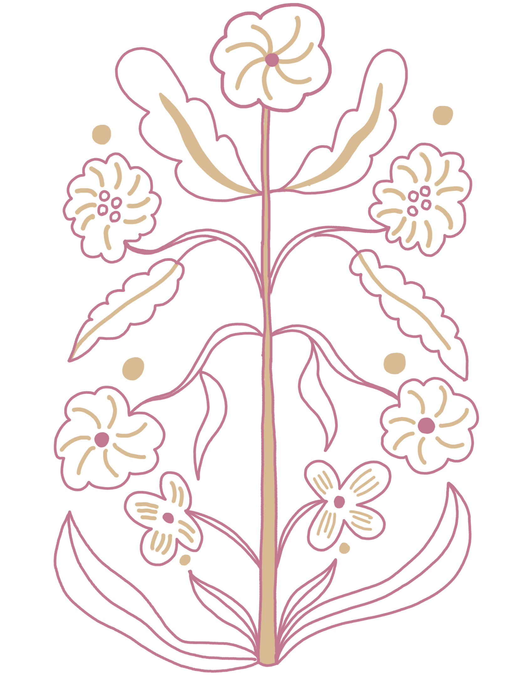 A botanical illustration featuring a central stem with multiple flowers and leaves, outlined in pink with beige accents.