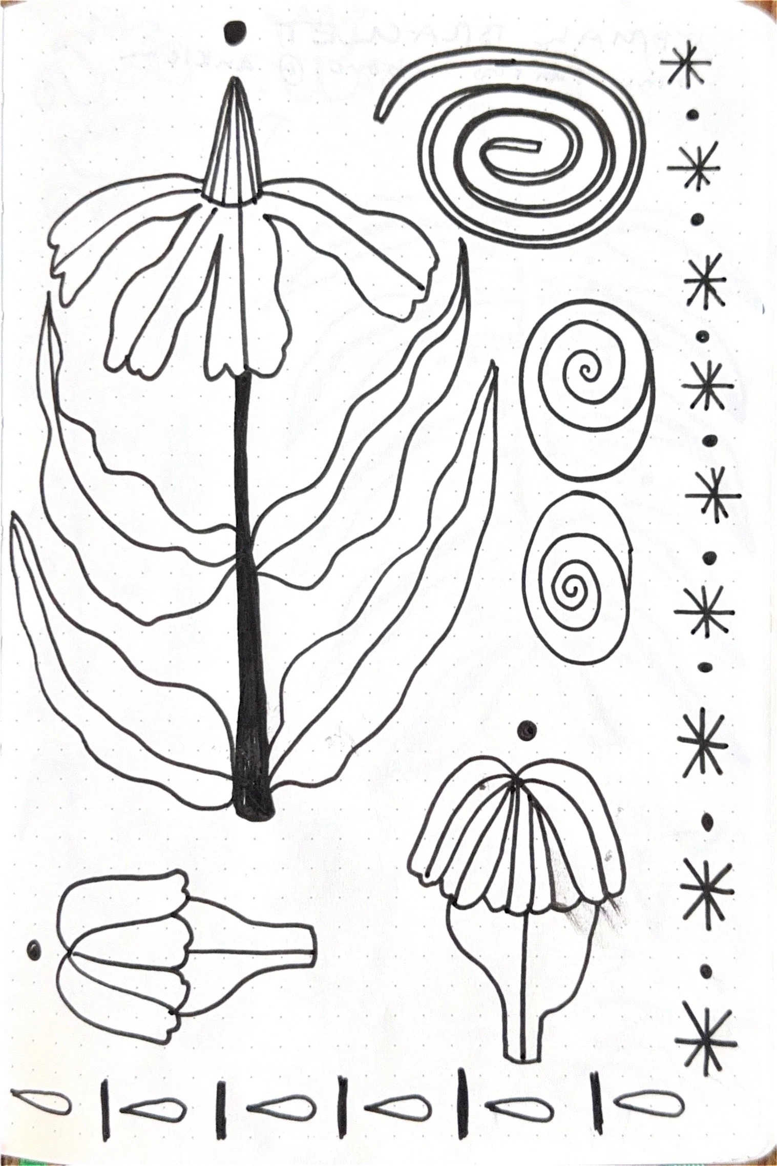 Black and white line drawing of several stylized butterflies, flowers, and spiral patterns with decorative borders.