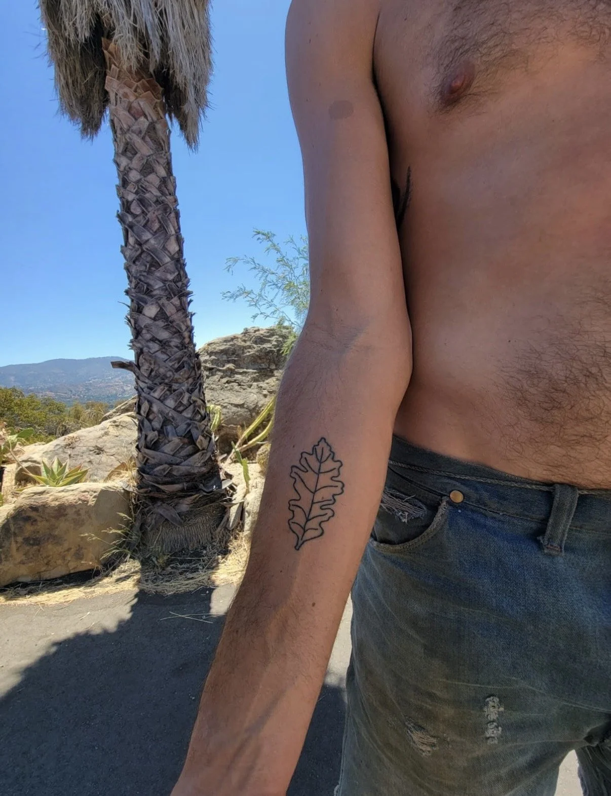 A shirtless man standing outdoors near a palm tree and rocks, wearing distressed jeans and showing a tattoo of an oak leaf on his arm.