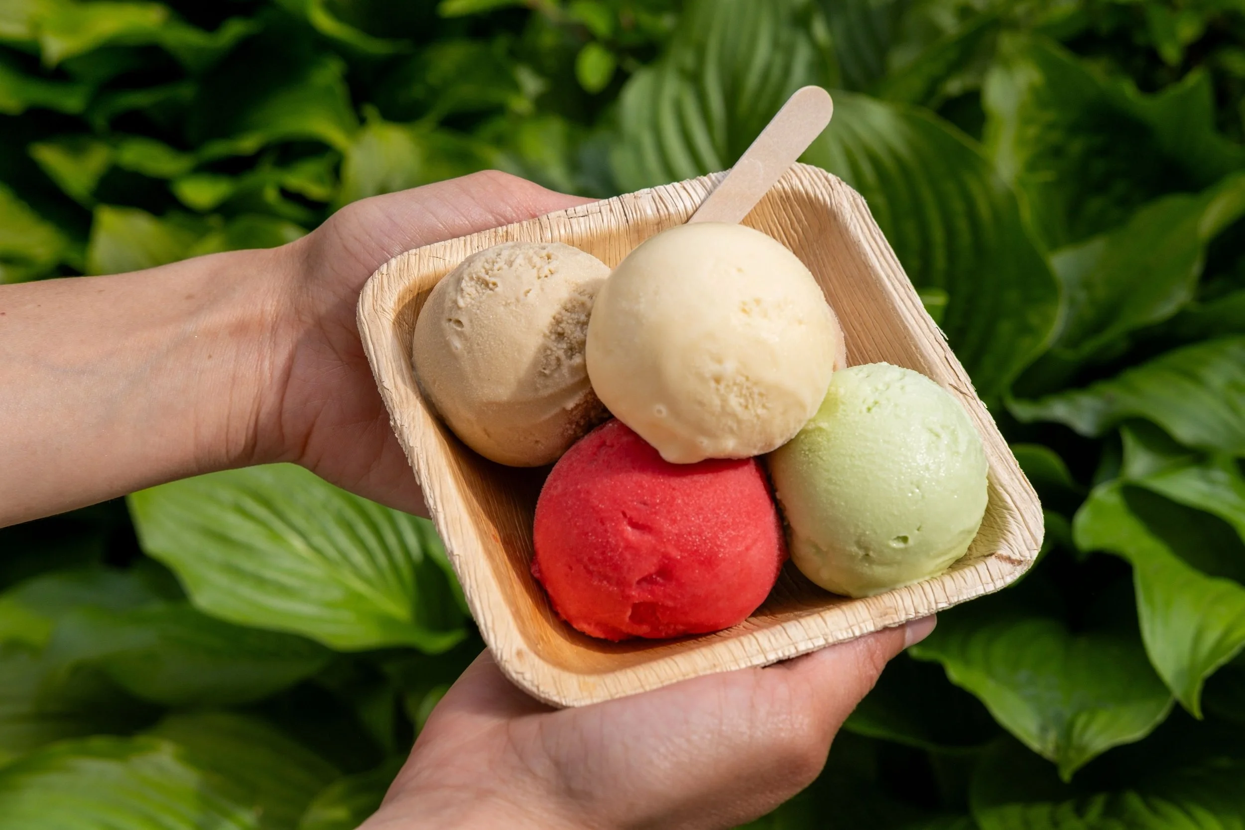 The best way to enjoy one of our flavors is right next to another! 🌱 &ldquo;The Flight&rdquo;
&bull;
&bull;
&bull;
&bull;
#sorbet #gelato #chicago