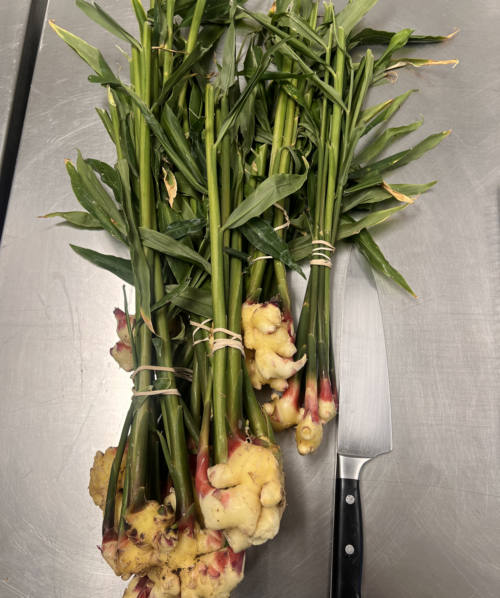 Fresh ginger root and green stalks of lemongrass on a metal cutting surface with a kitchen knife nearby.