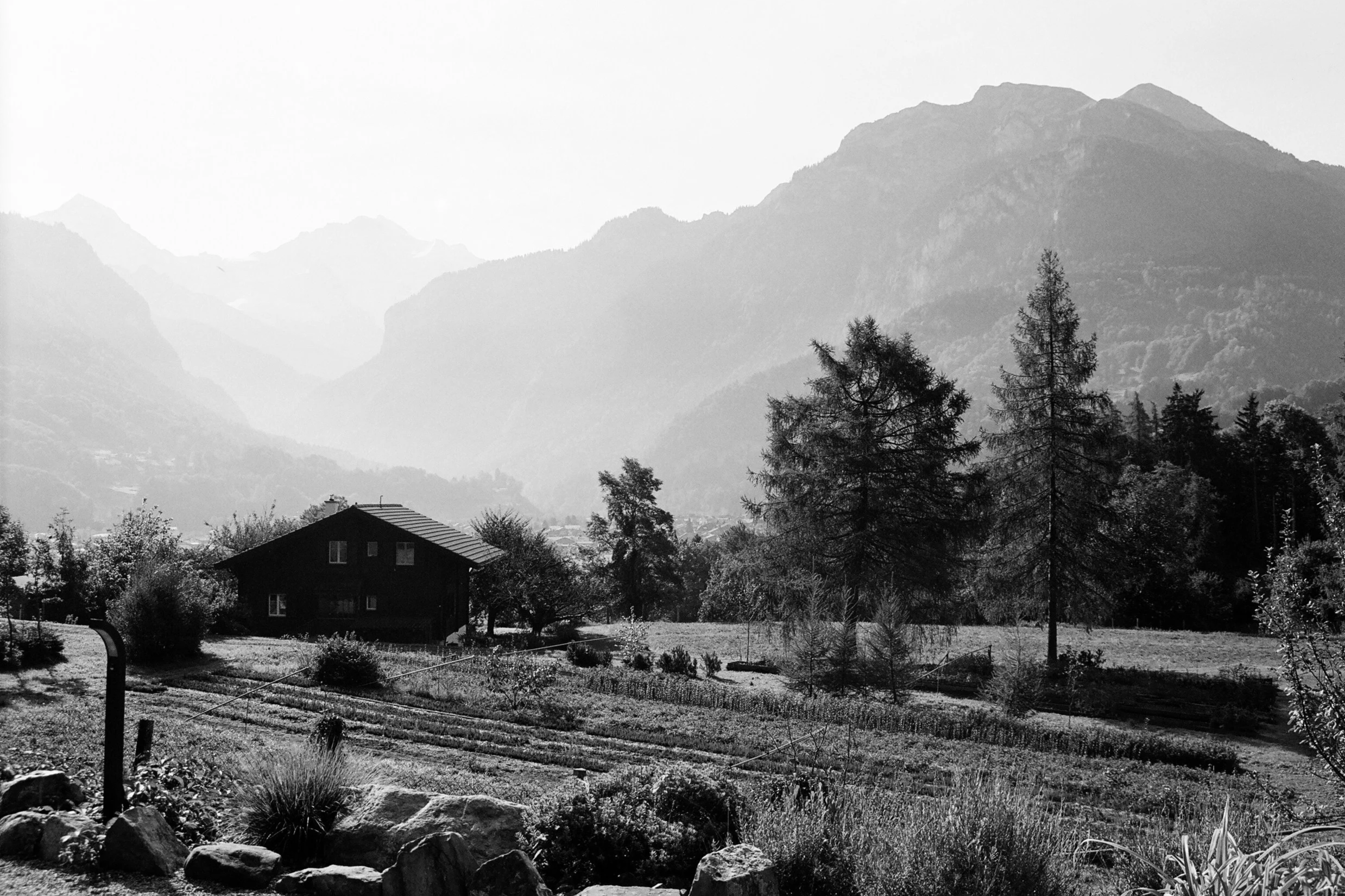 Simple life, 2014