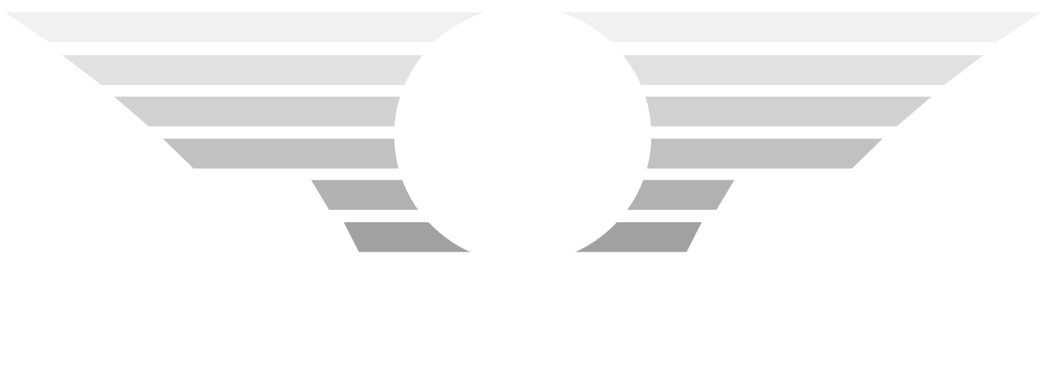 The Airline Lawyer