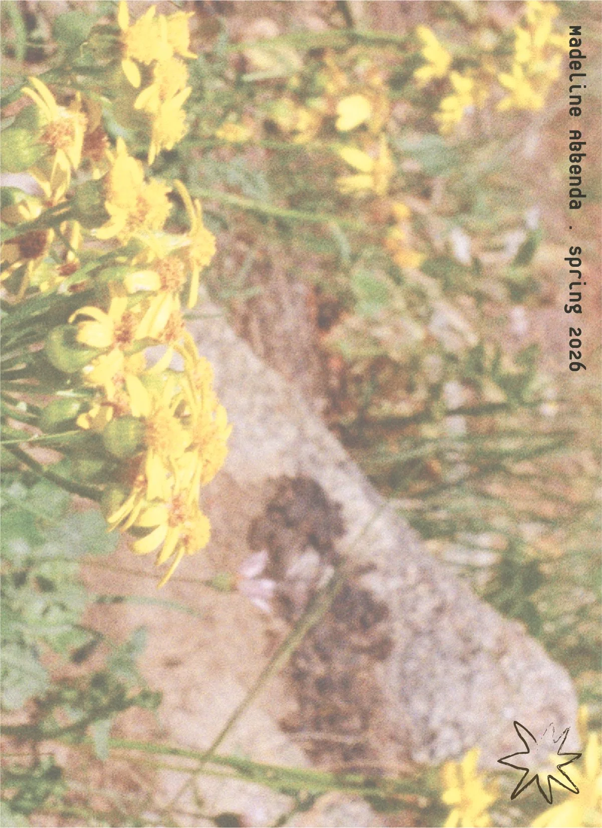 finalzine_joyfulmax_individualforport-18.jpg
