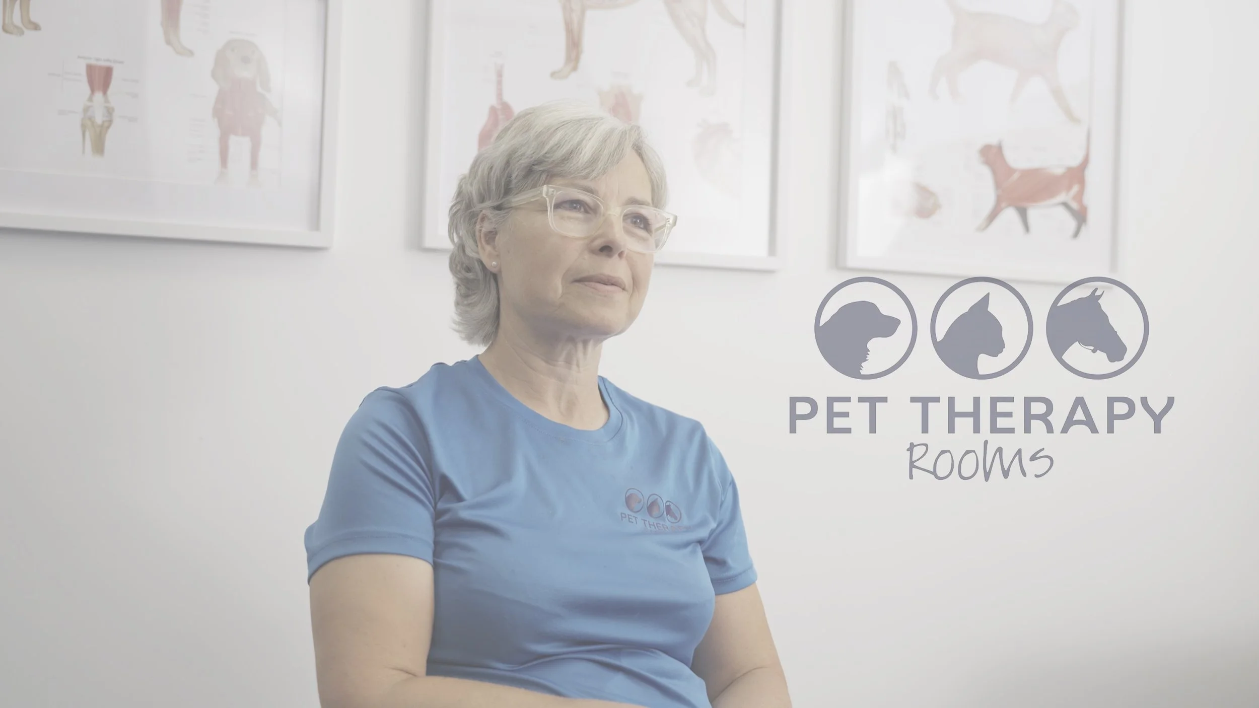 A woman with gray hair and glasses wearing a blue shirt standing in a pet therapy room with framed animal anatomy posters on the wall. A graphic overlay shows silhouettes of different dog breeds and the words 'Pet Therapy Rooms'.