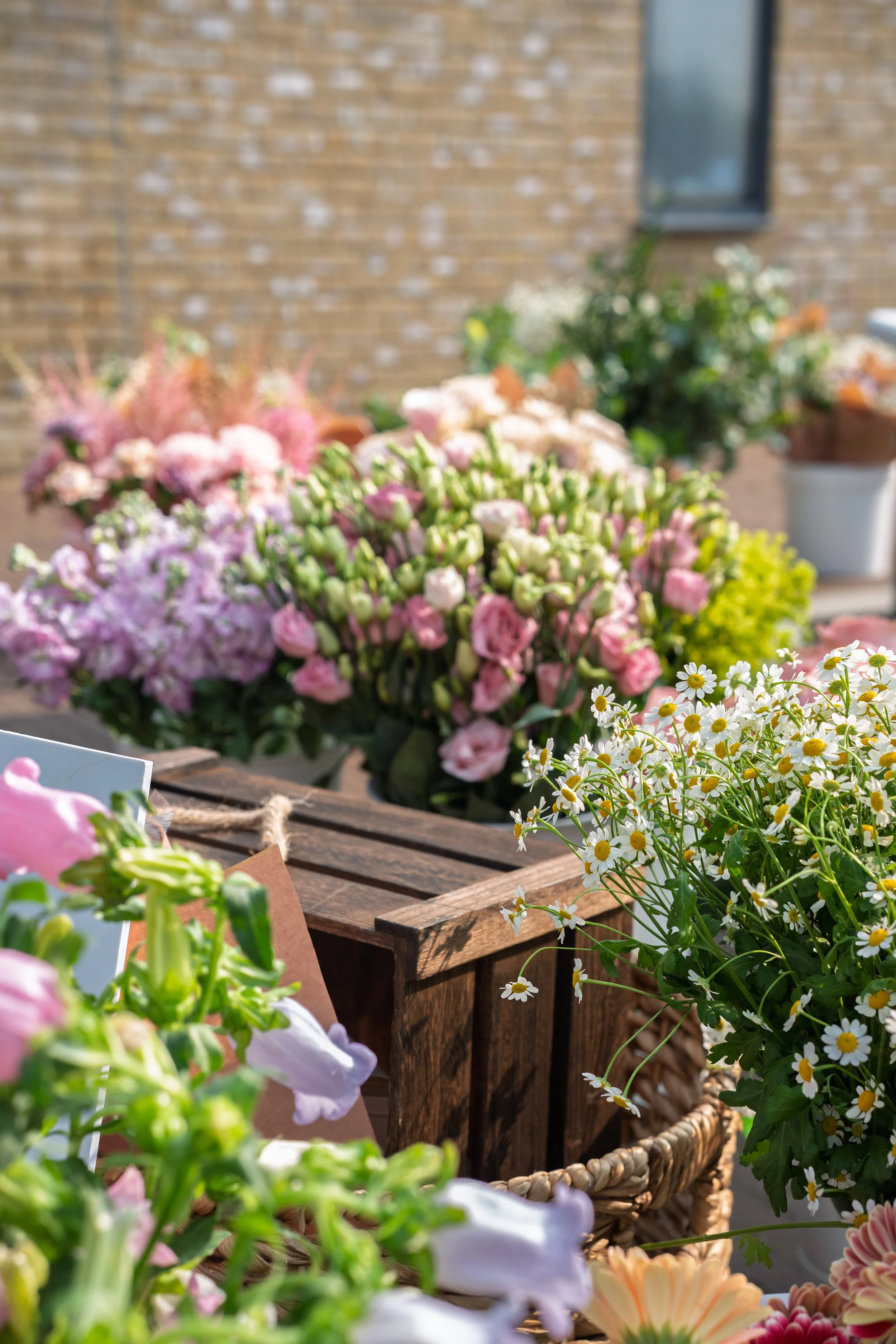 Various colorful flowers displayed outdoors against a brick wall and a wooden surface.