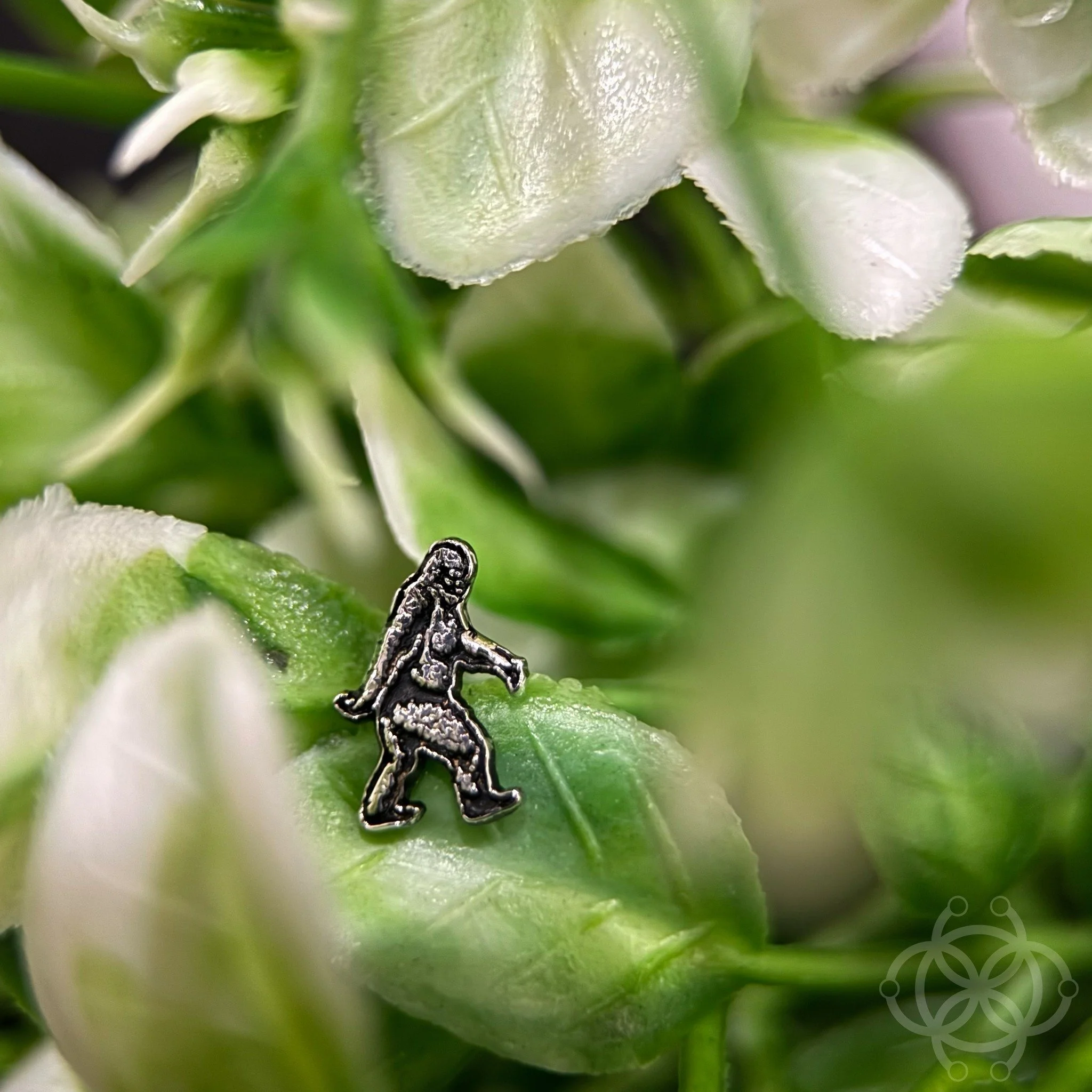 Bigfoot spotted by @hole.punch3r in this stunning white gold piece from @bodygems called 'Sasquatch'👏
For bookings and enquiries, send us an email or visit our website!
All links in bio
📧 broadwaytattoosyd@gmail.com
☎️ 02 9552 2077
.
.
.
#piercing 