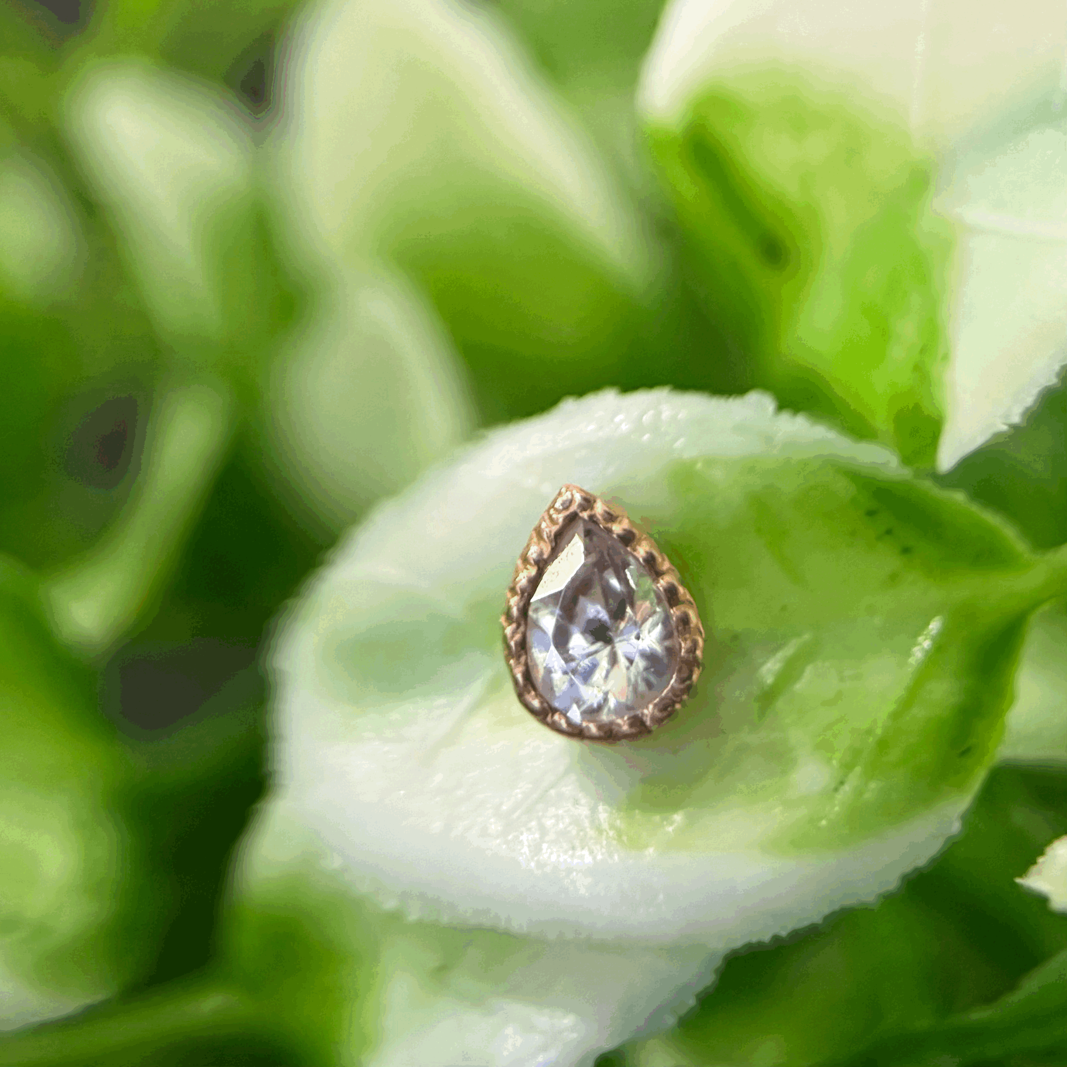 Solid Gold 'Scalloped Pear'