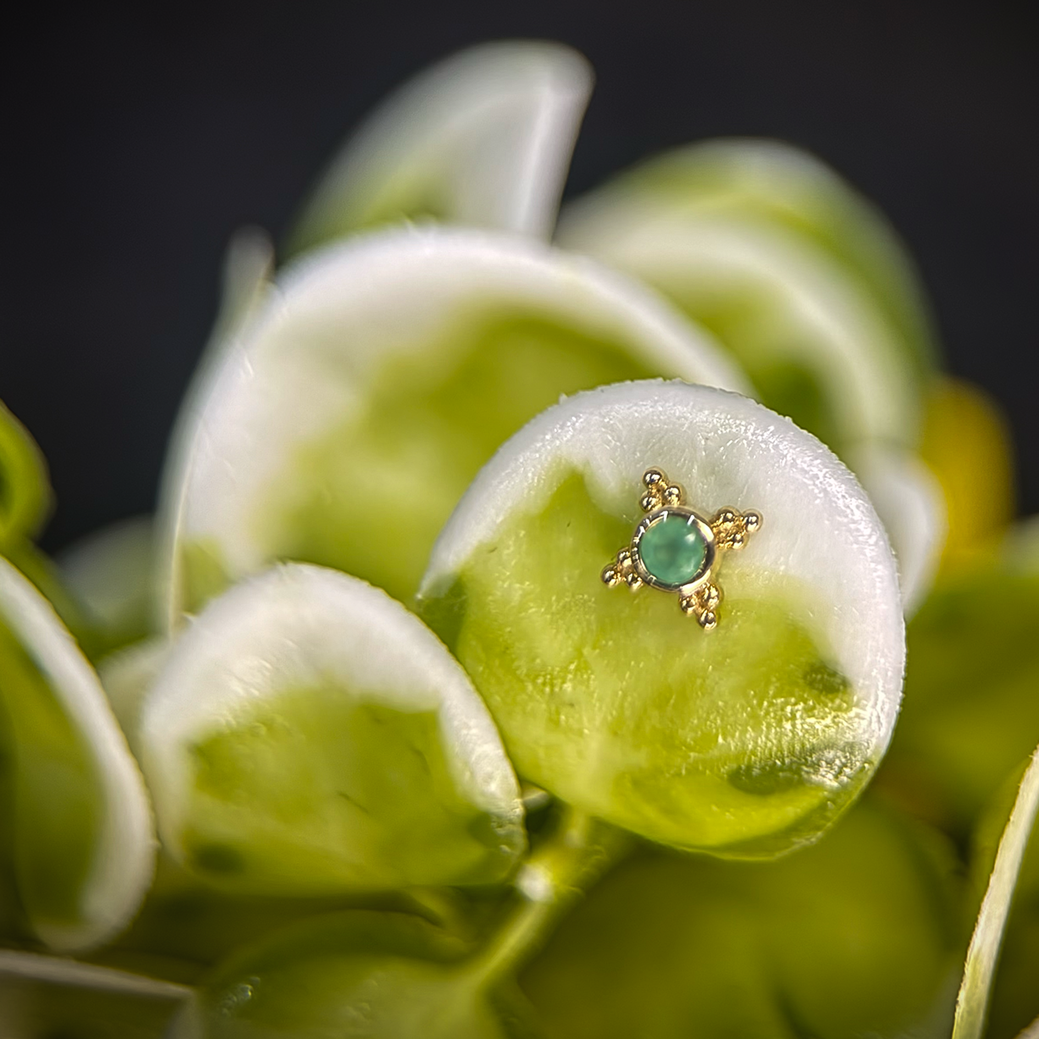 shandy chrysoprase.png