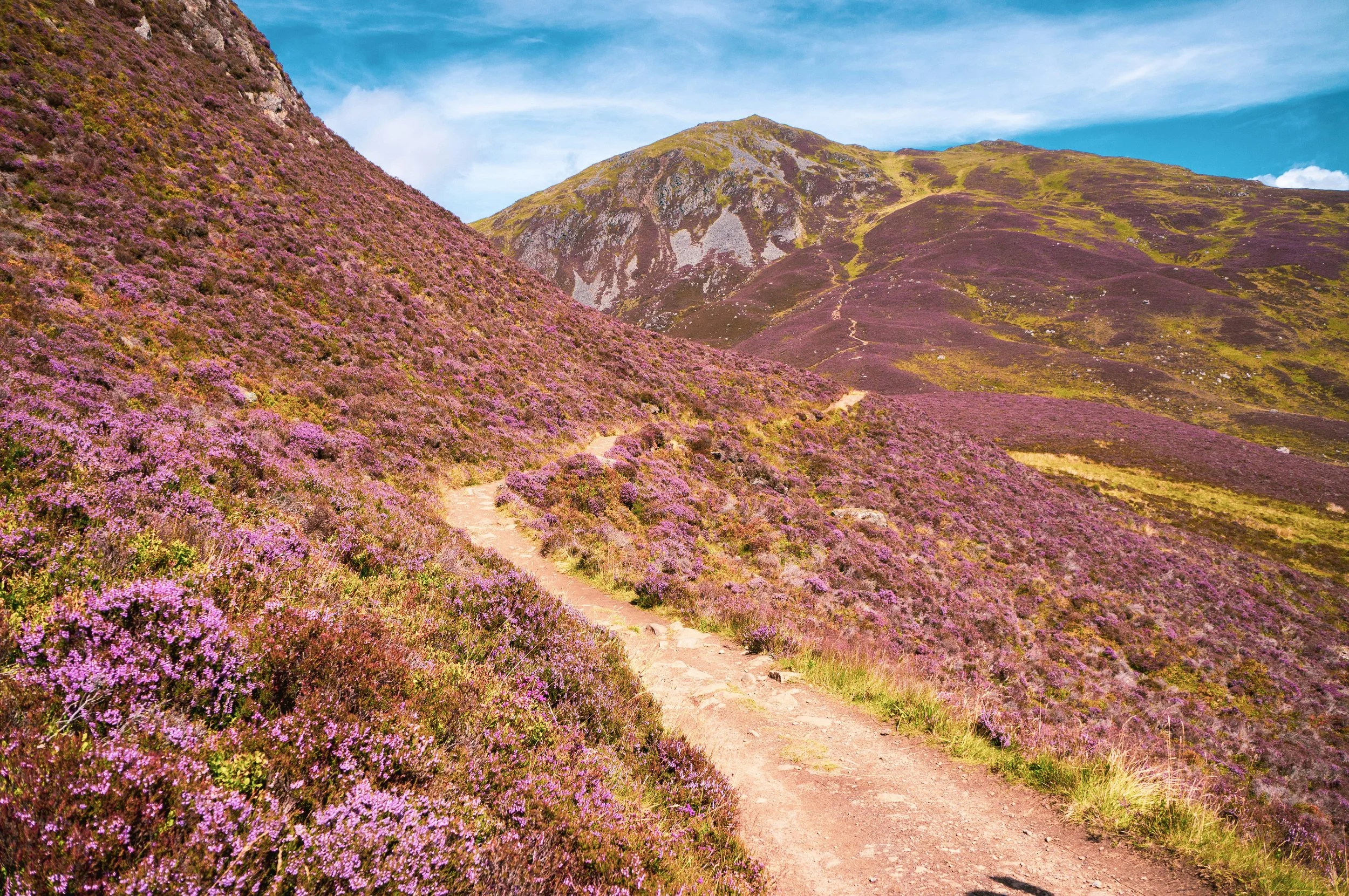 Innovation for Regenerative Tourism - VisitScotland