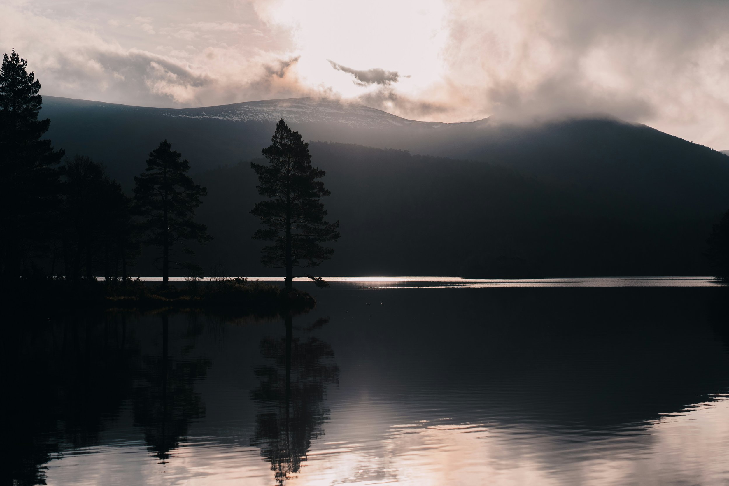 Strategic Social Change - Worldwide Fund for Nature
