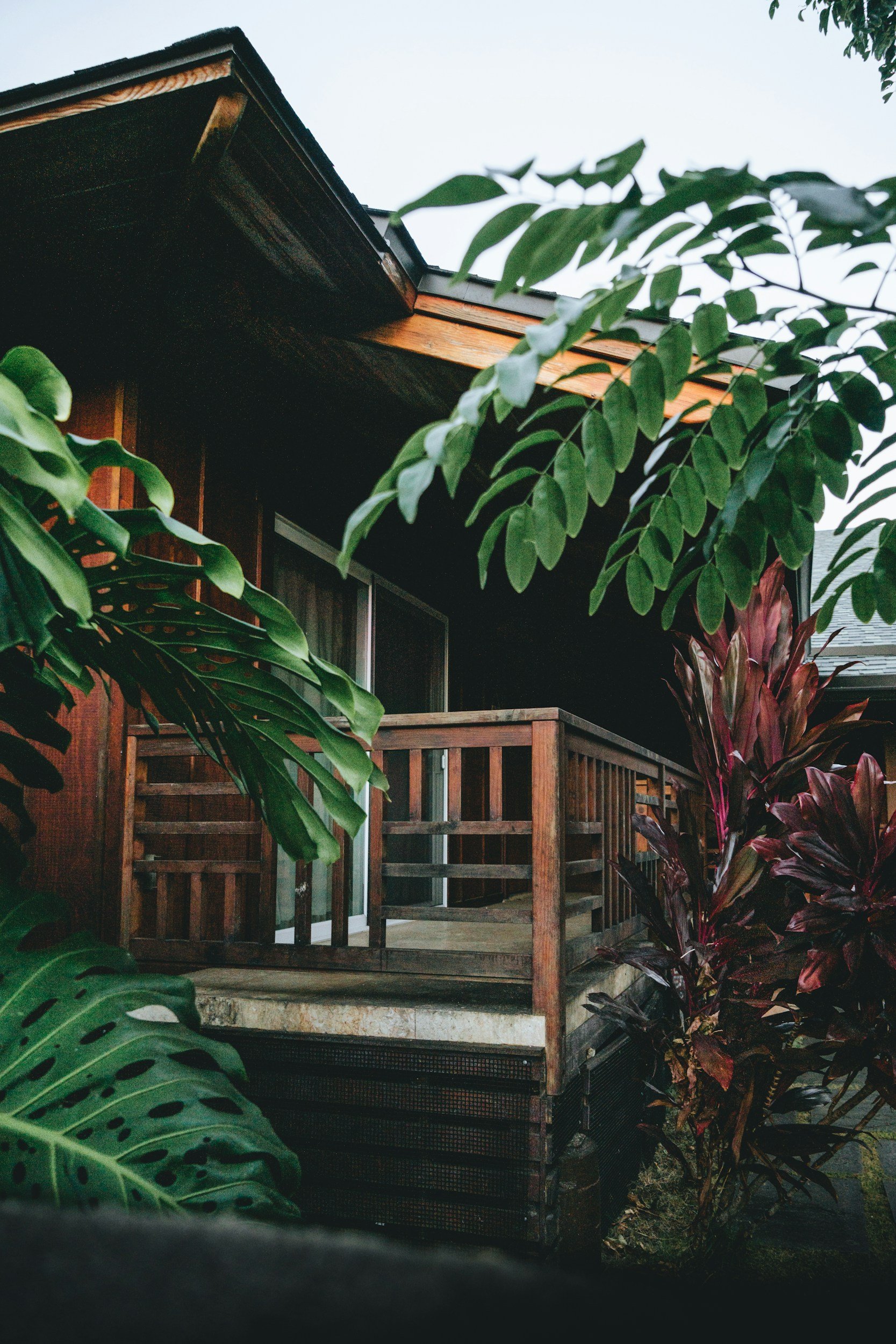 View of a classic Hawaiian home, with a wooden balcony covered in lush greenery, large tropical leaves and red-leafed plants, with part of a house roof and sky visible.