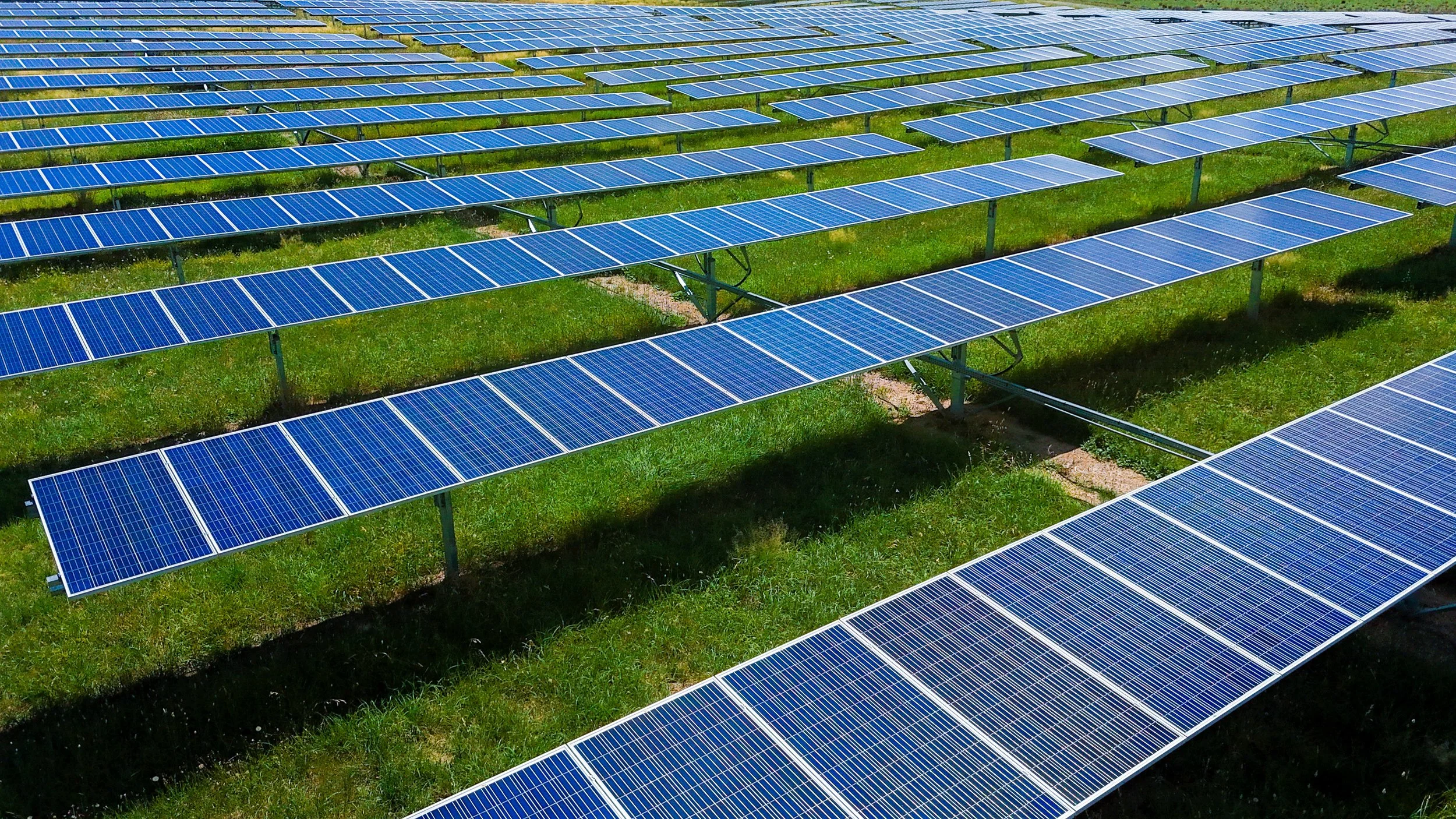 A large solar panel farm with multiple rows of blue solar panels installed on green grassy land.
