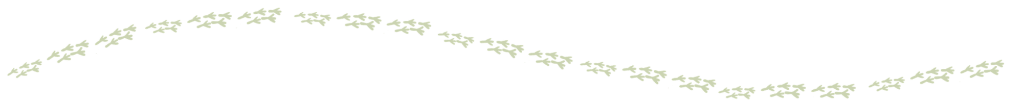 CleanPeak Energy Reconciliation Action Plan Indigenous Artwork Motif