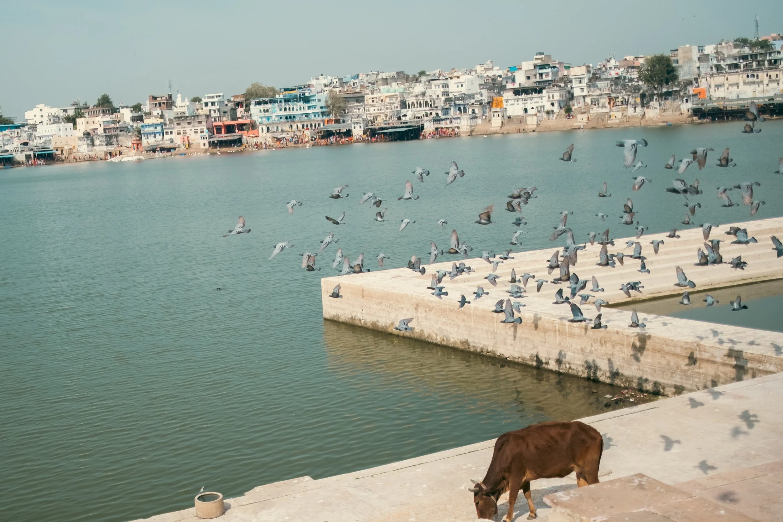 India-16.jpg