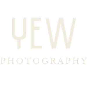 Yew Photography