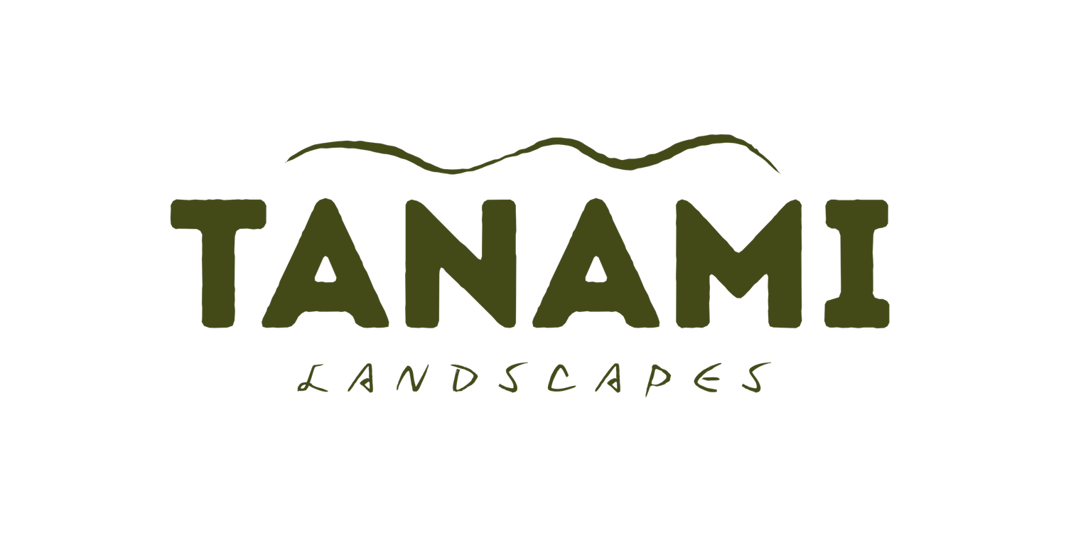 TANAMI LANDSCAPES