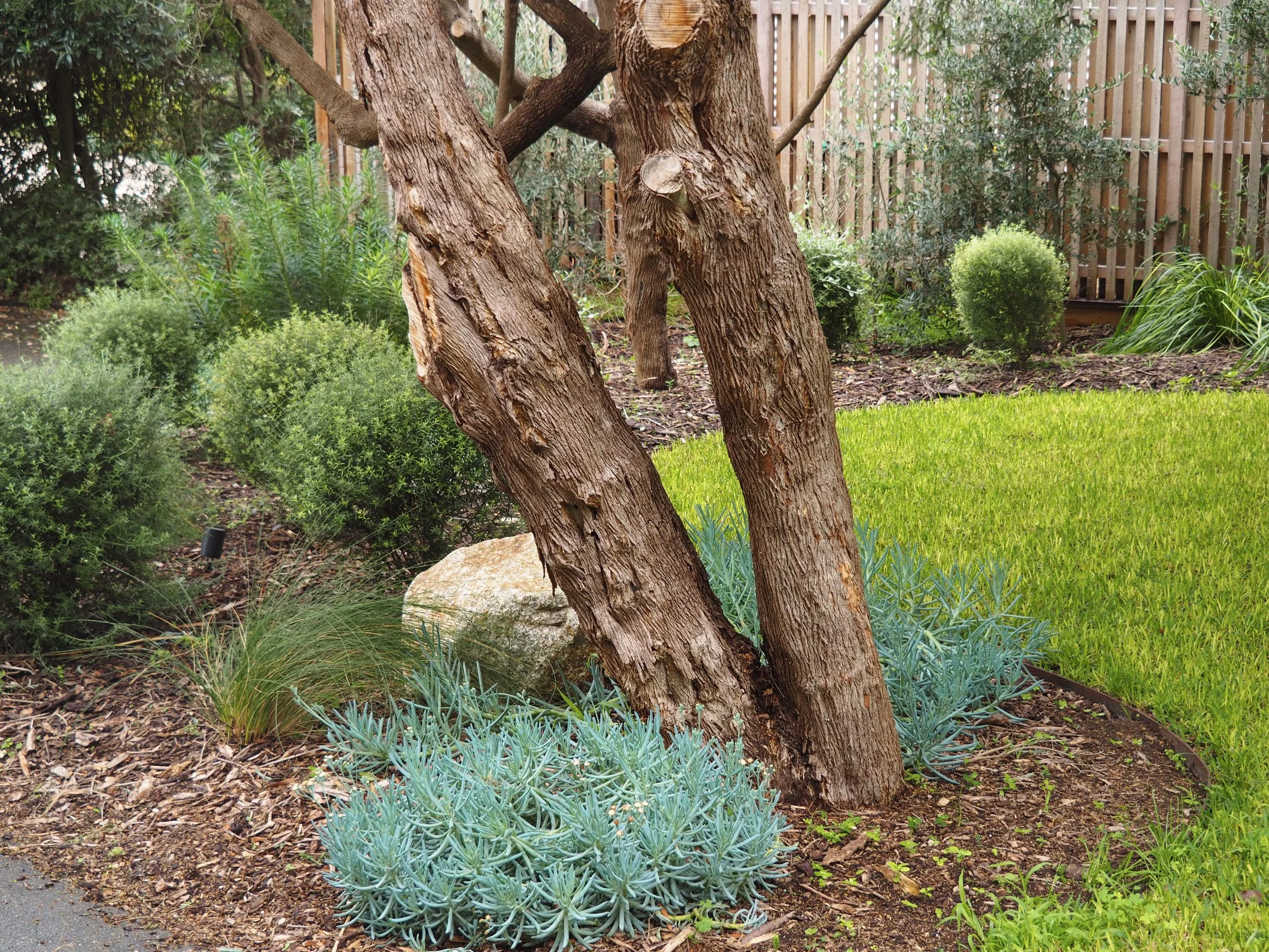 Portsea 1.1_Tanami.JPG