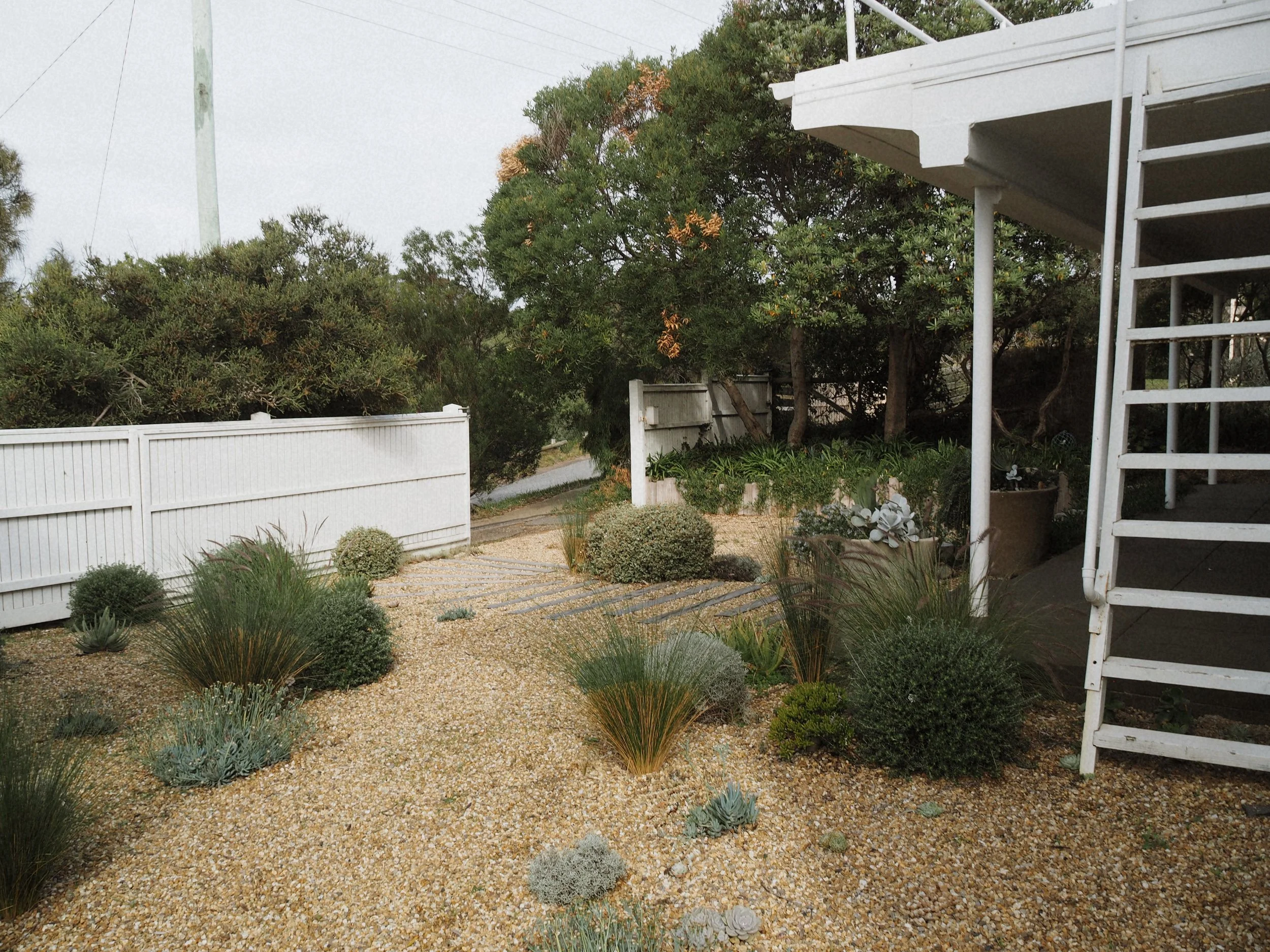 Sorrento 1.2_Tanami..JPG