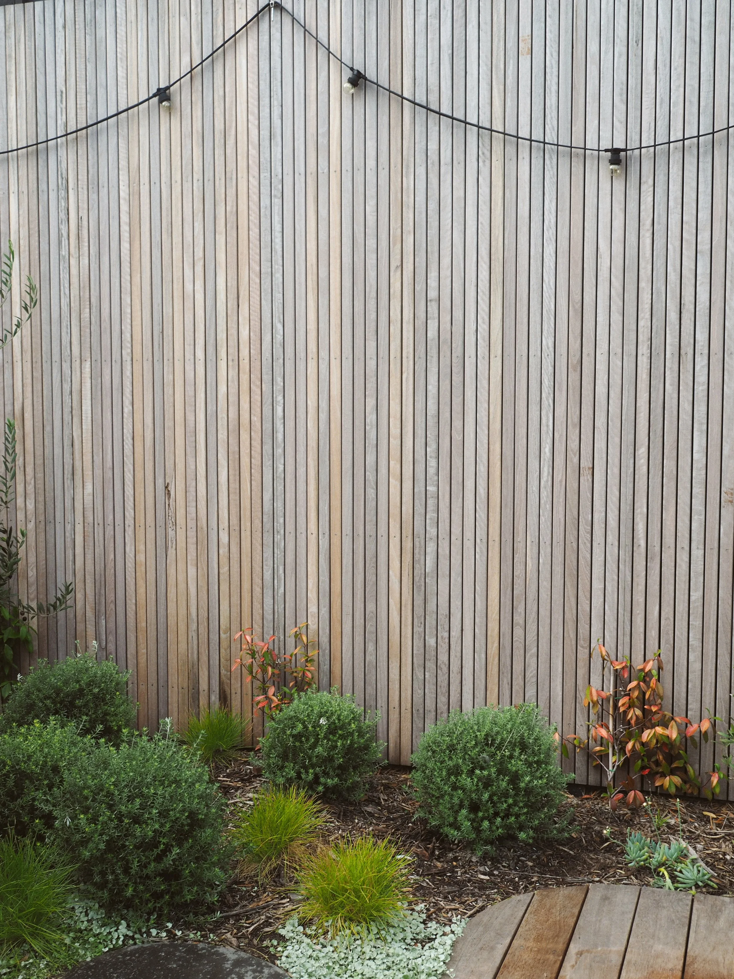 Portsea 1.16_Tanami.JPG