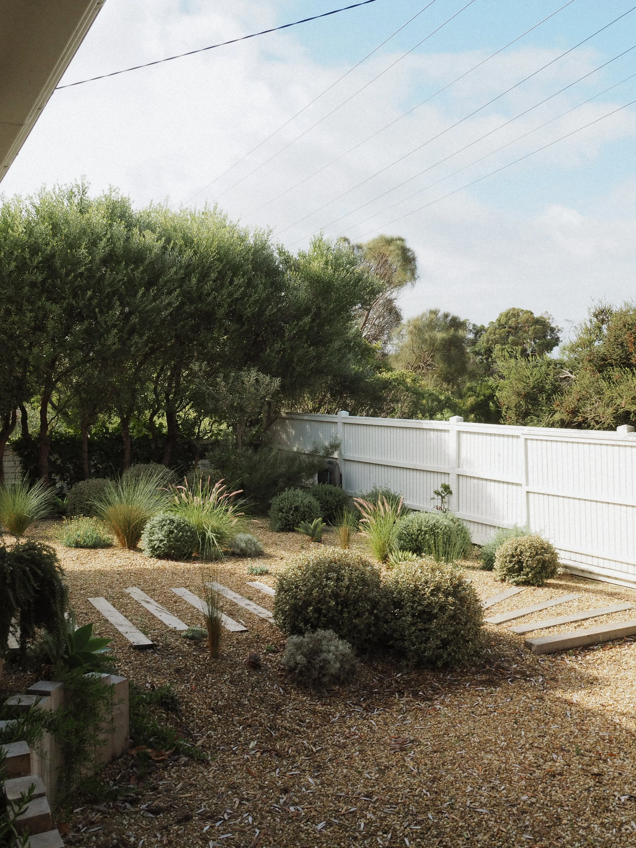 Sorrento 1.18_Tanami..JPG