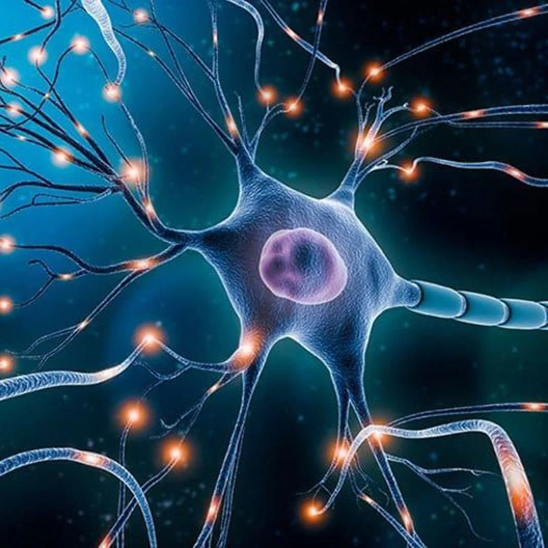 Brain power