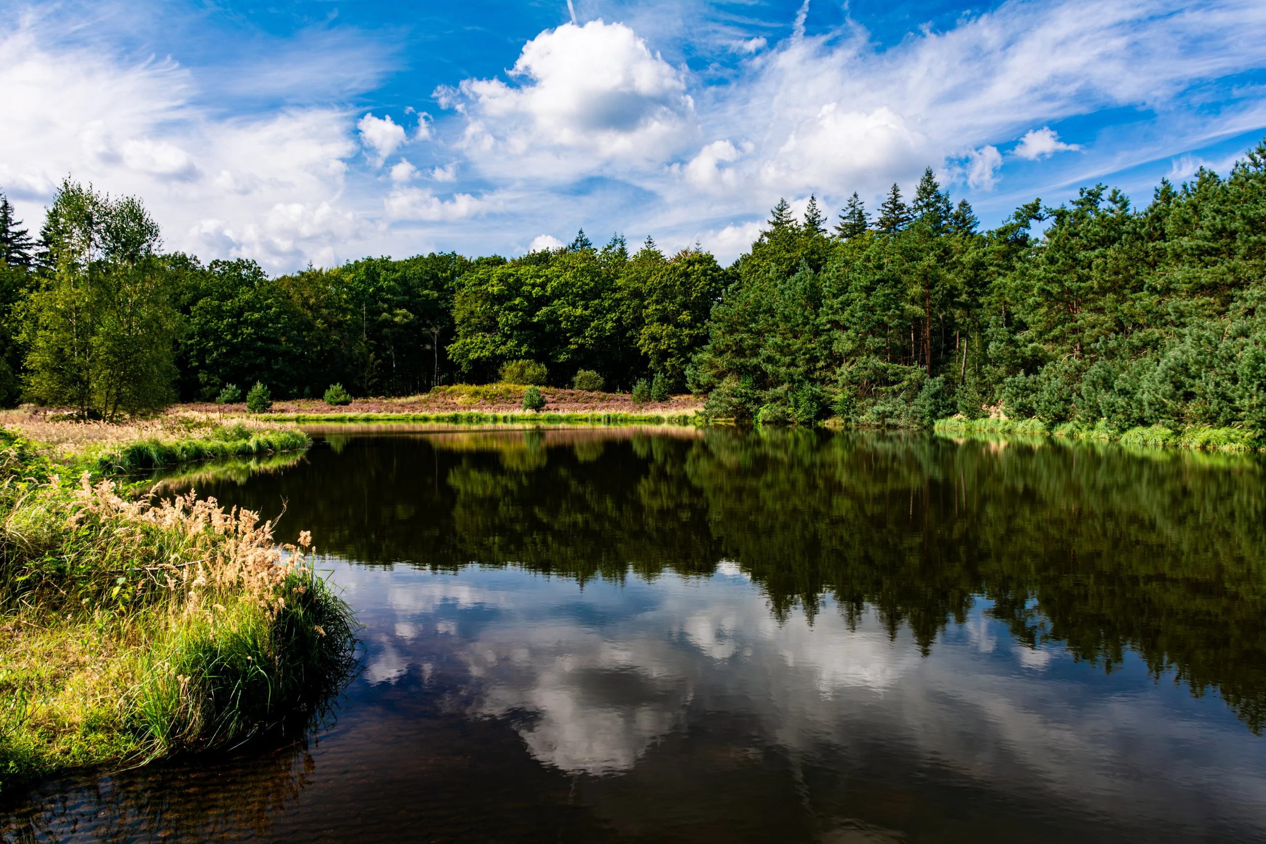 Een landschap met een rustige rivier, omringd door groene bomen en een blauwe lucht met witte wolken.