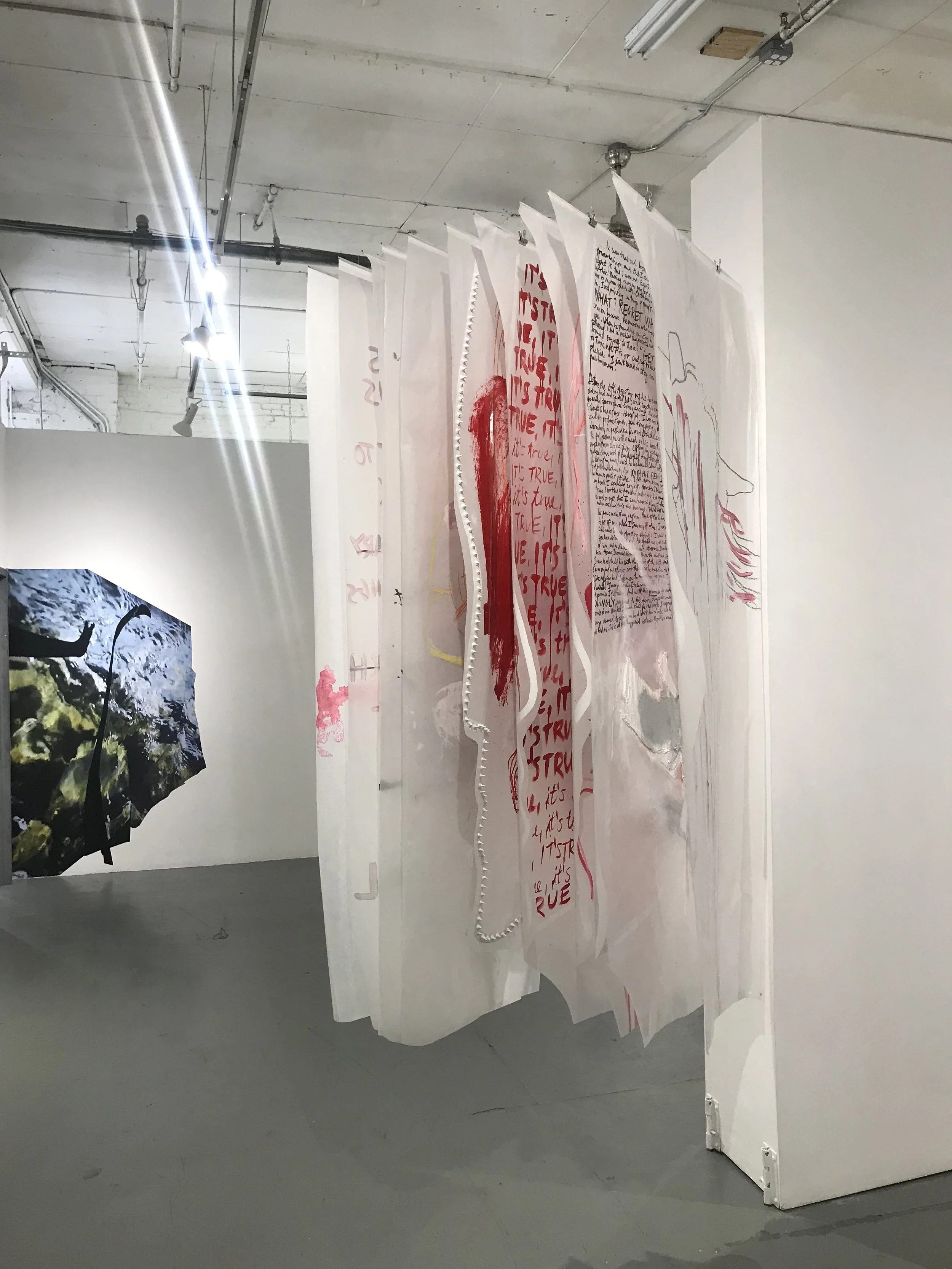 Complicit Installation (2017)