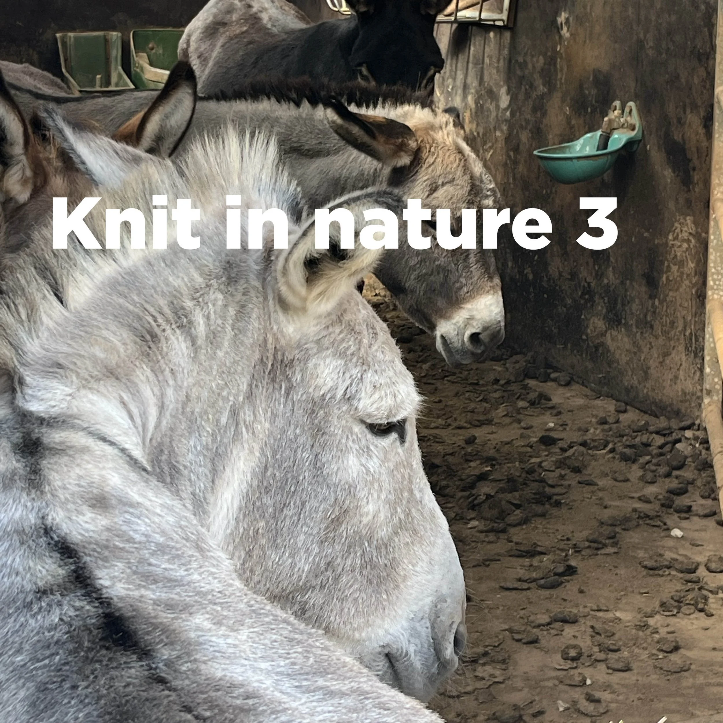 Knit in nature 3