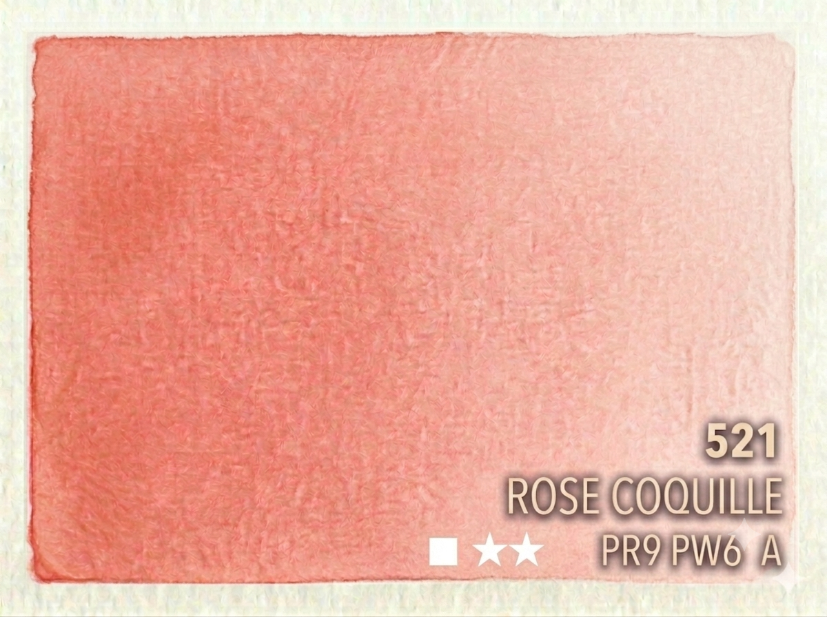 521. Rose coquille