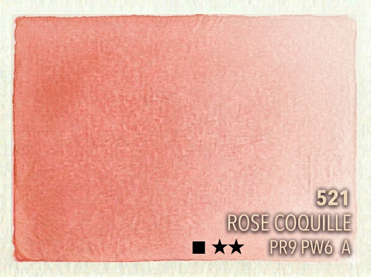 521 rose coquille.png