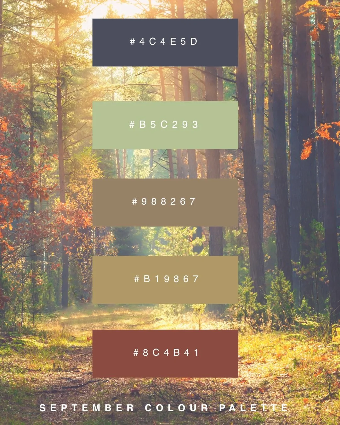 This month's palette. 🍂

Falling leaves, damp walks in nature and that first proper chill in the air. Warm rust, faded green and the softest earthy brown, pulled straight from September itself.

Save this one if you're refreshing anything this month
