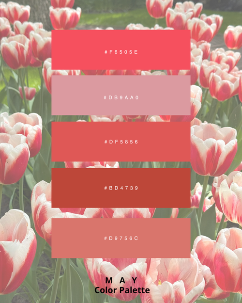 May colour palette