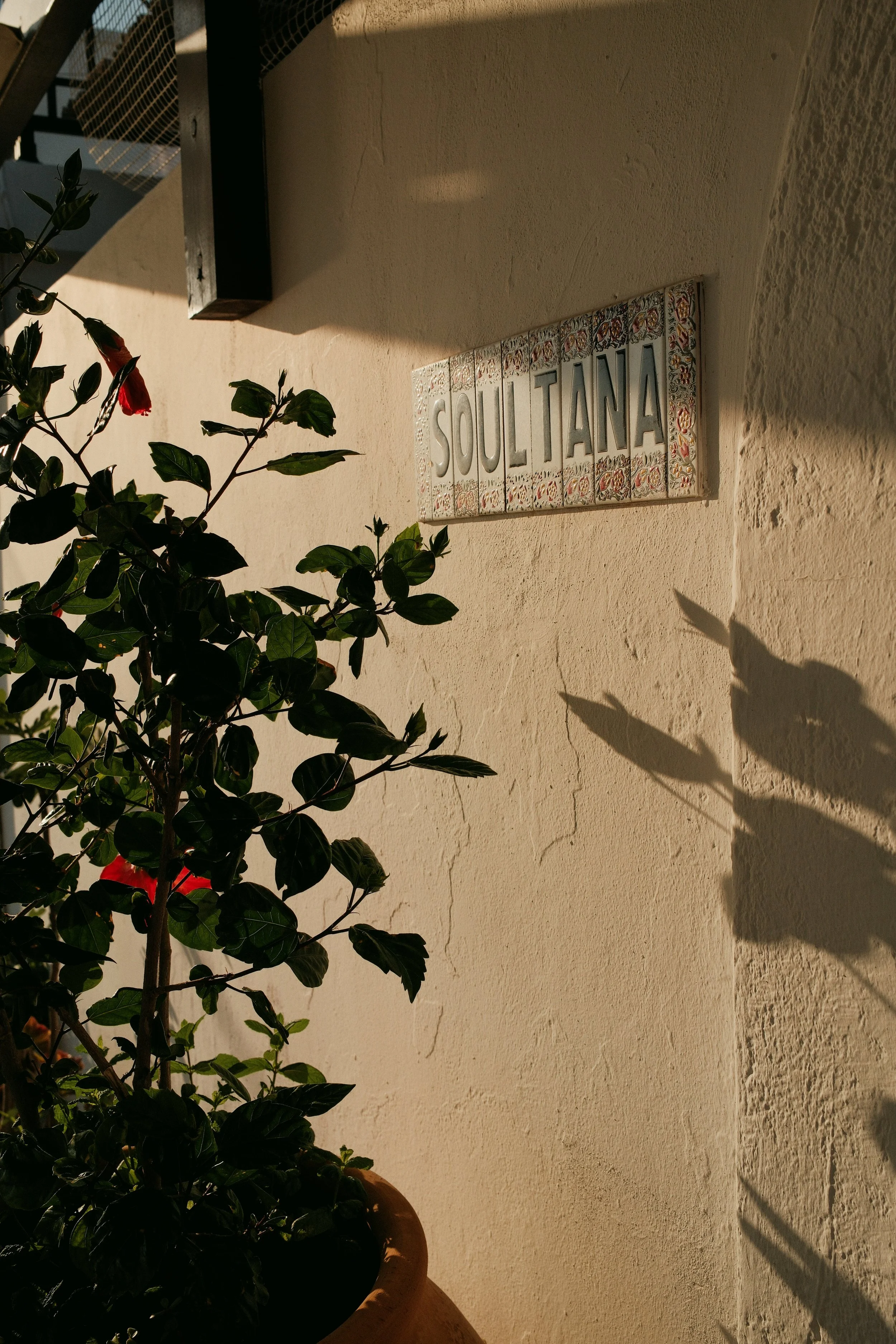 DSCF2520.JPG
