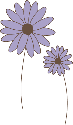 Two purple daisies with brown centers and long stems.