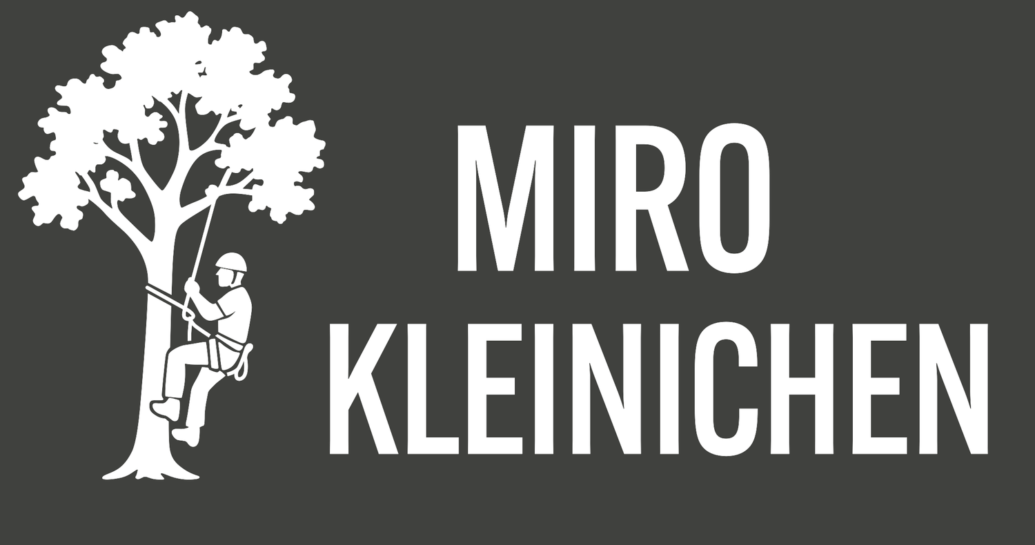 Baumpflege Kleinichen | Baumpflege &amp; Fällung in Großenkneten &amp; Oldenburg