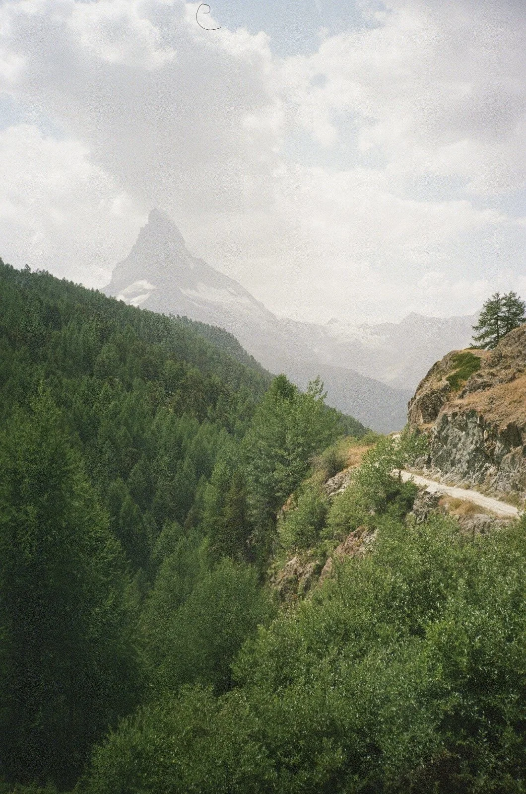 IMG_5802.JPEG
