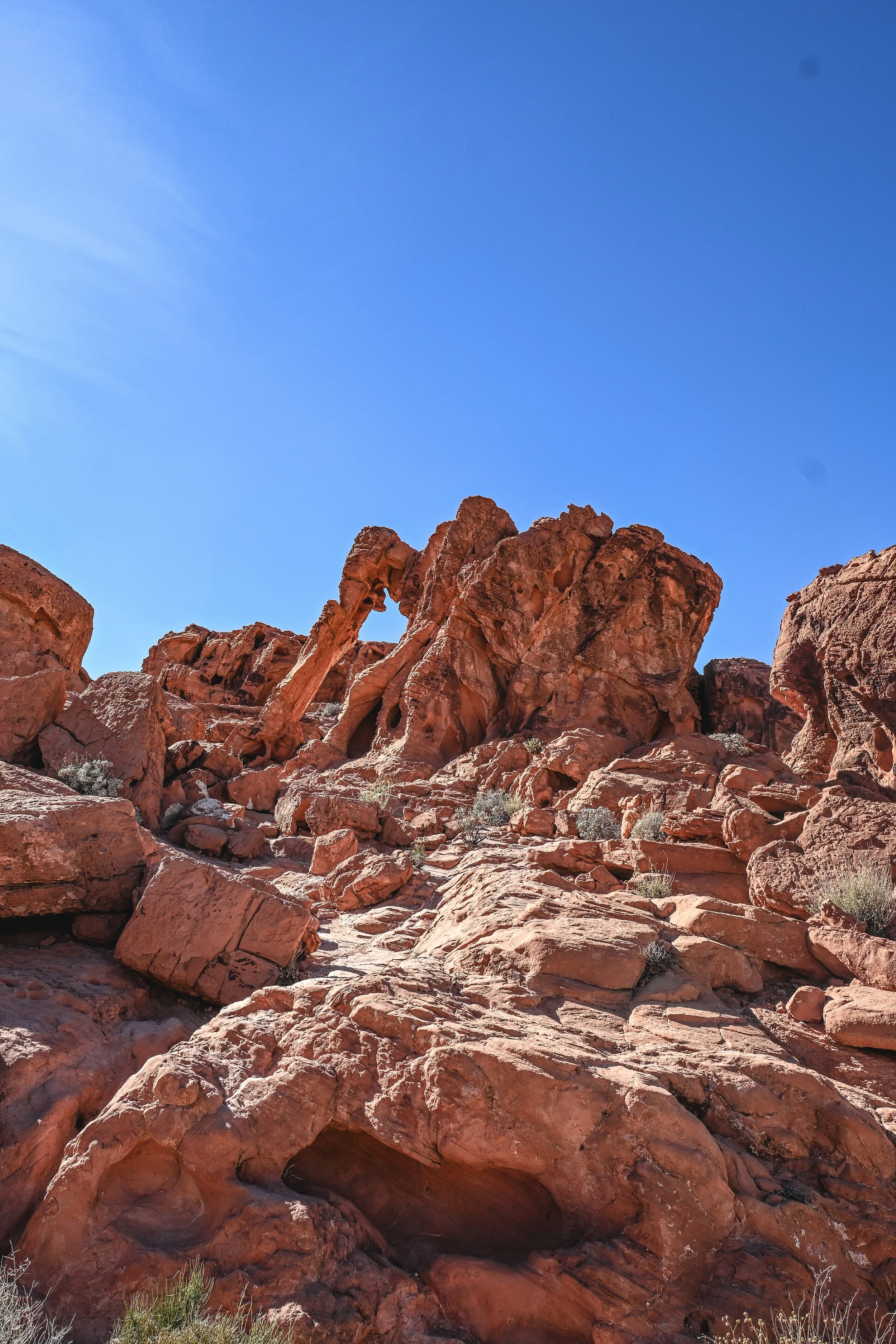 DSC_0717.JPG