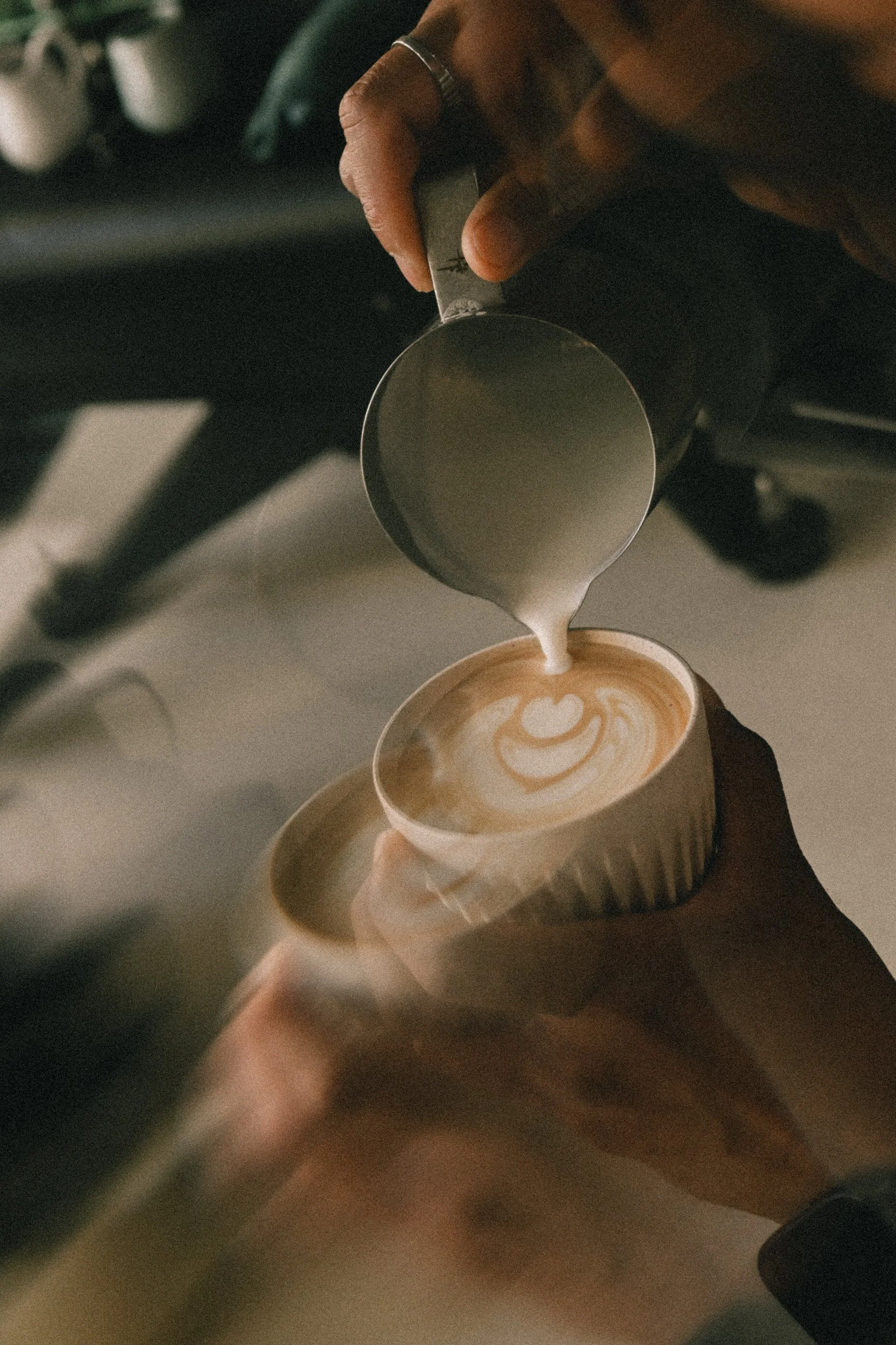 Food & Lifestyle : Barista Lab