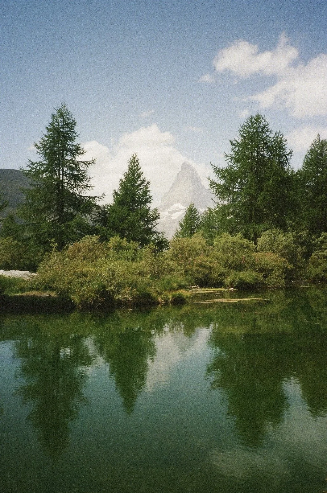 IMG_5803.JPEG