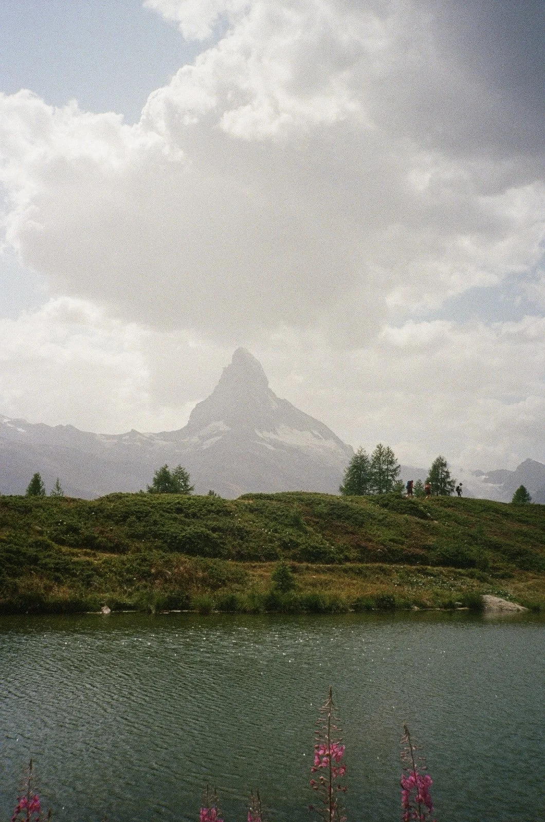 IMG_5801.JPEG