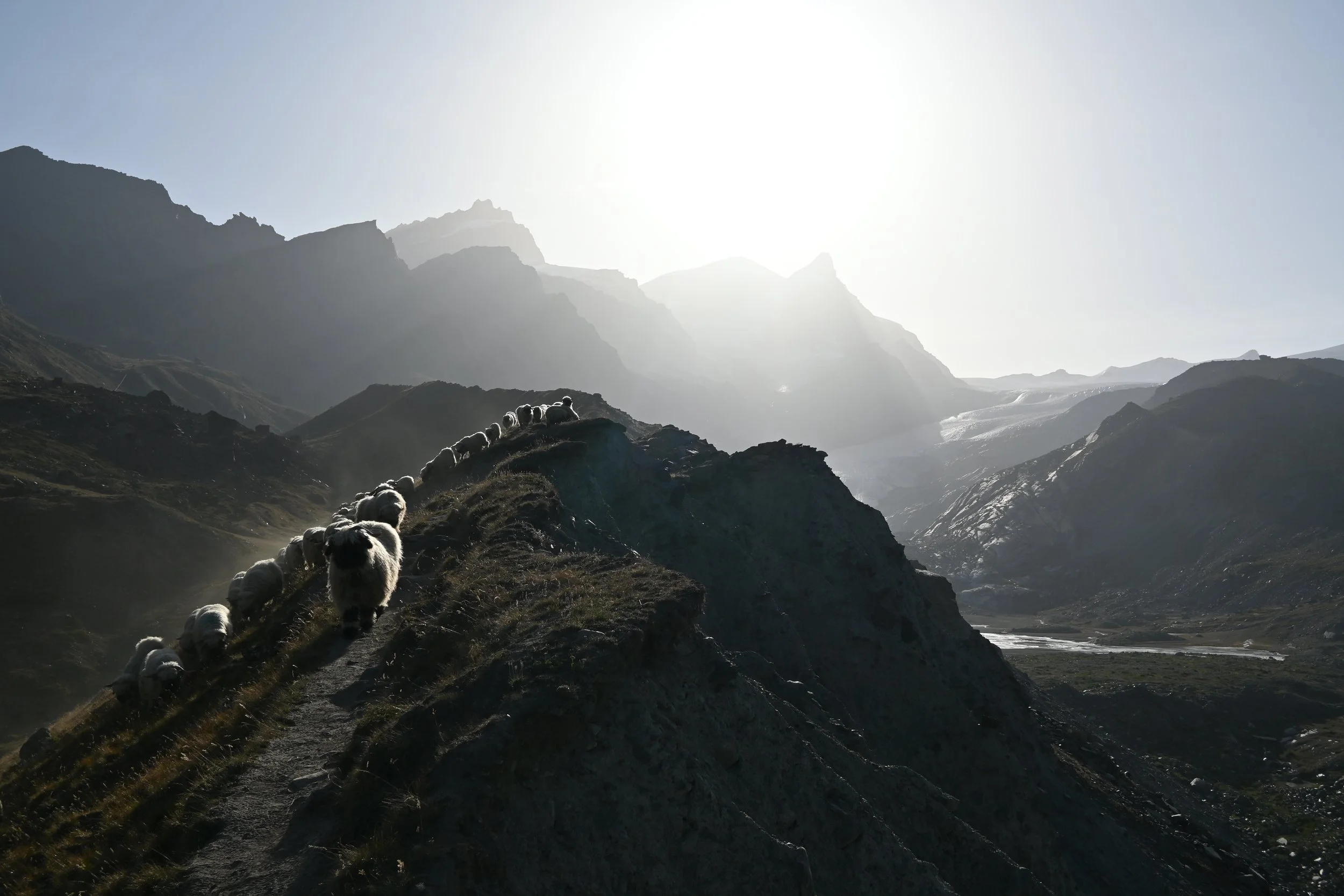 DSC_4004.JPG