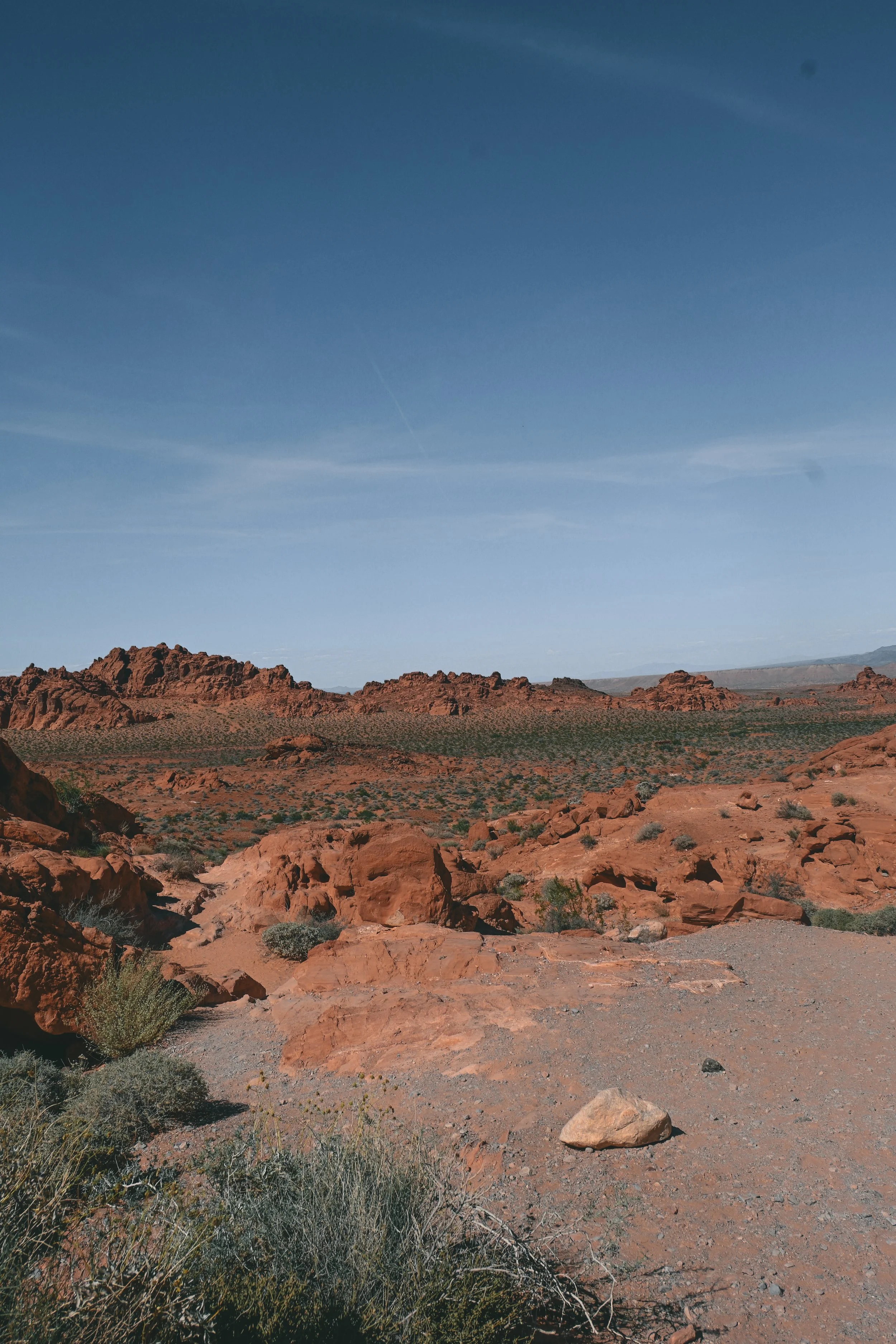 DSC_0721.JPG