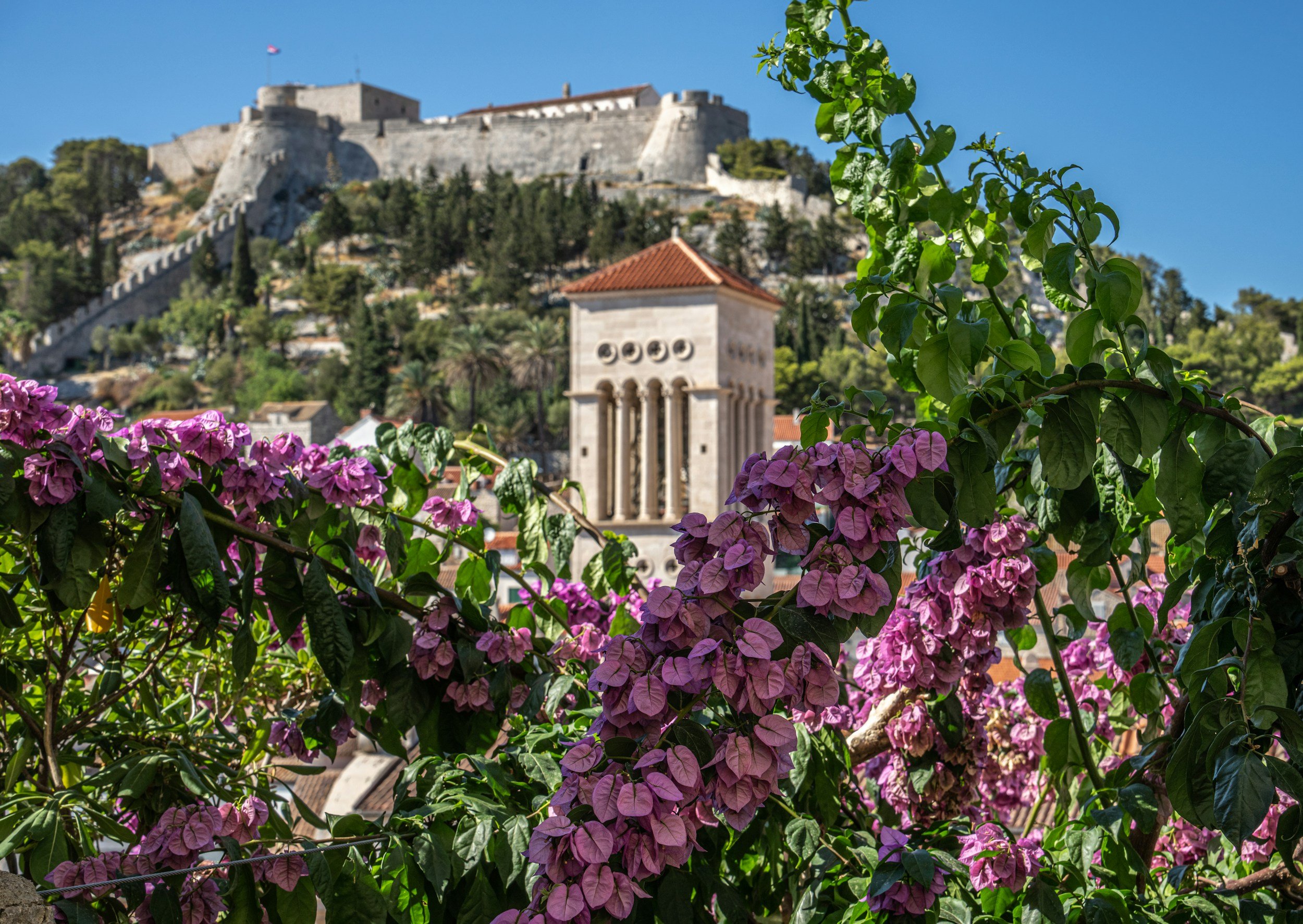 Blooming pink and purple bougainvillea flowers in the foreground with a historic stone fortress and a building with arches and a red-tiled roof in the background, under a clear blue sky.