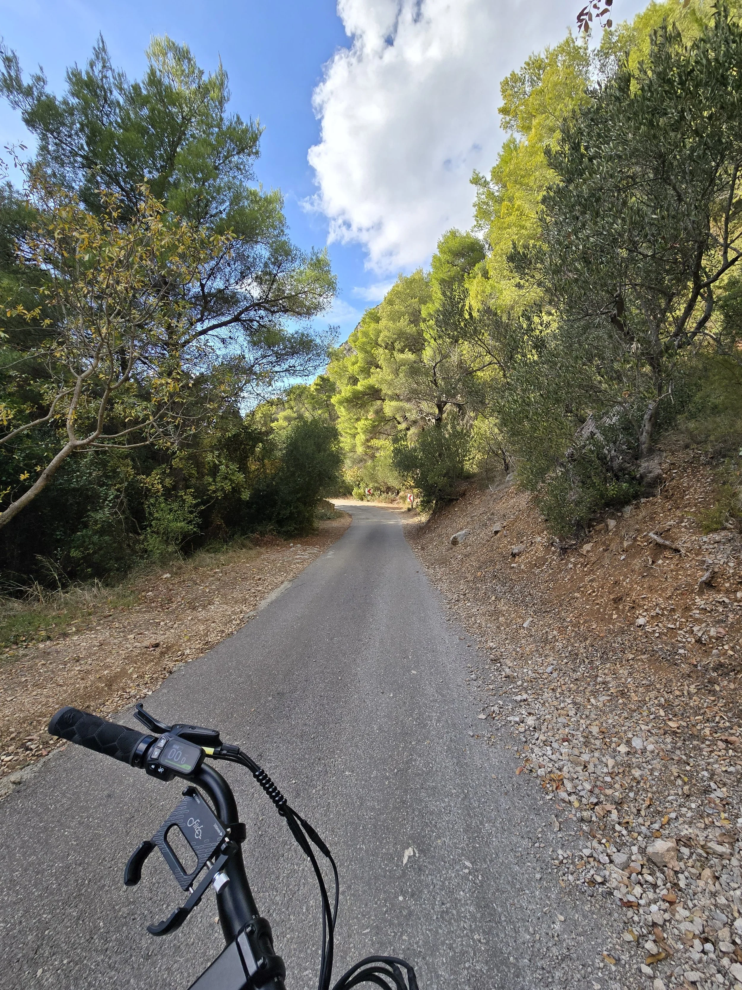 View from a bicycle down a paved trail surrounded by green trees on both sides under a partly cloudy sky.