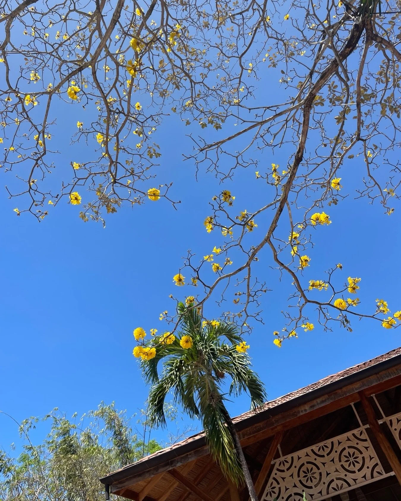 Yoga, Nutrition Talk &amp; Breakfast on 11th July

Leave everything behind for 2 hours and come along to our Oval Oasis; this is your invitation to step away from the noise and to give something back to yourself. 

Enjoy a morning dedicated entirely 